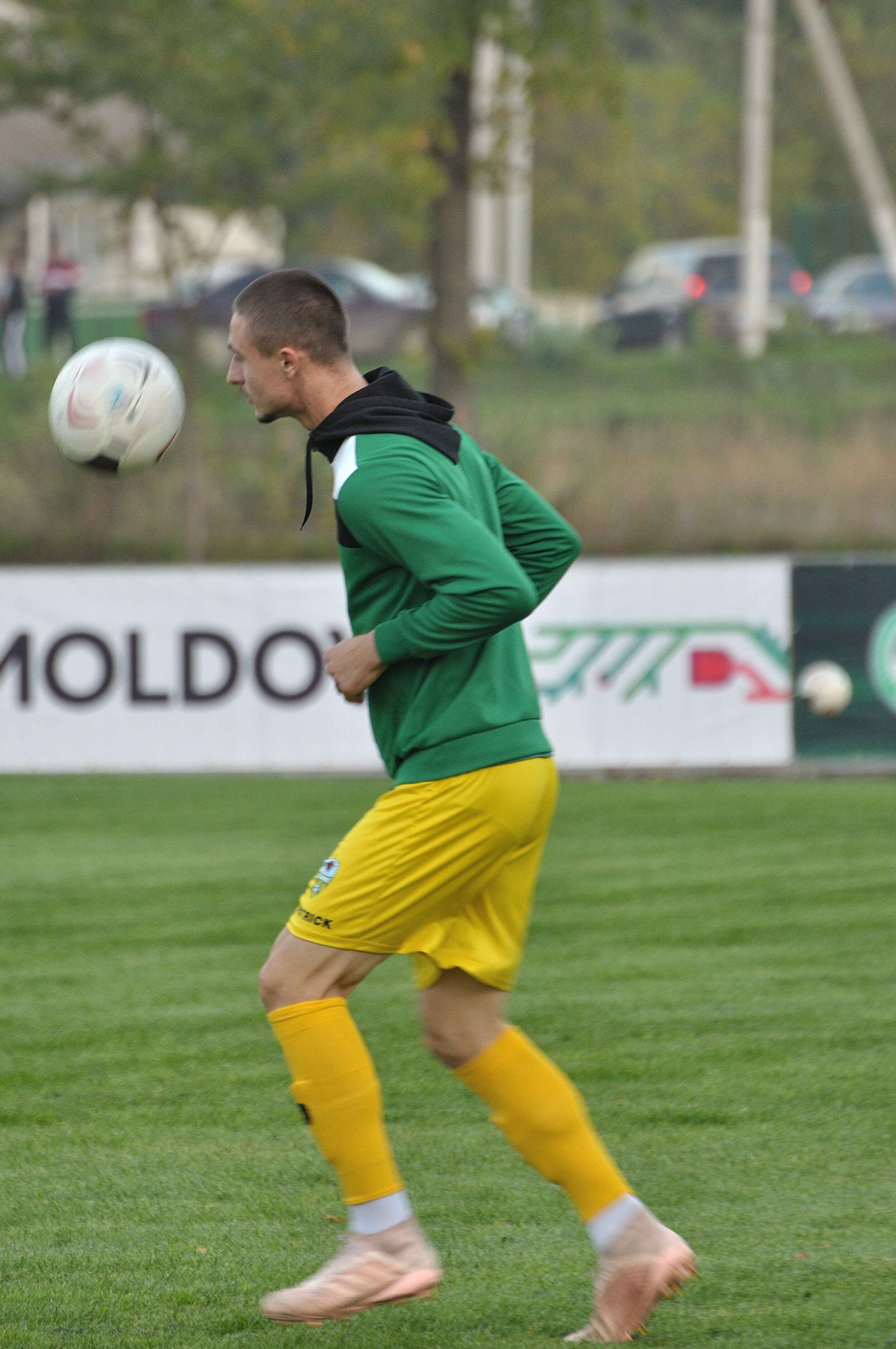 Codru_Zimbru_064.jpg
