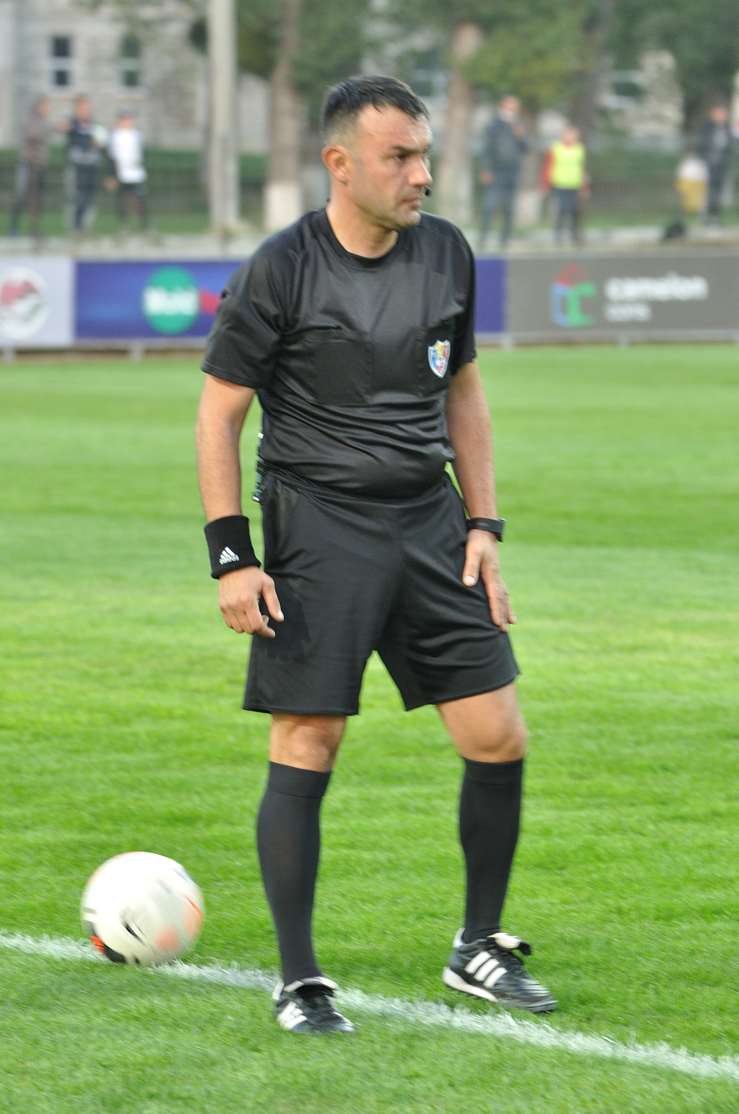 Codru_Zimbru_094.jpg