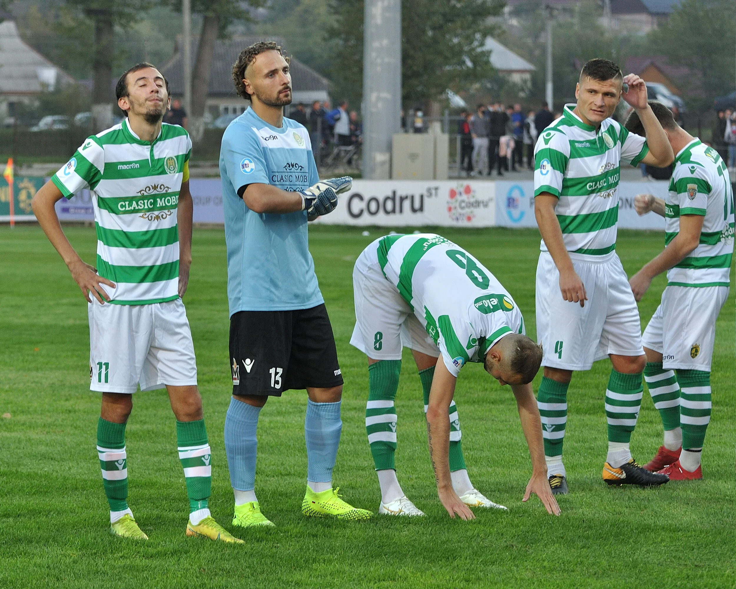 Codru_Zimbru_098.jpg
