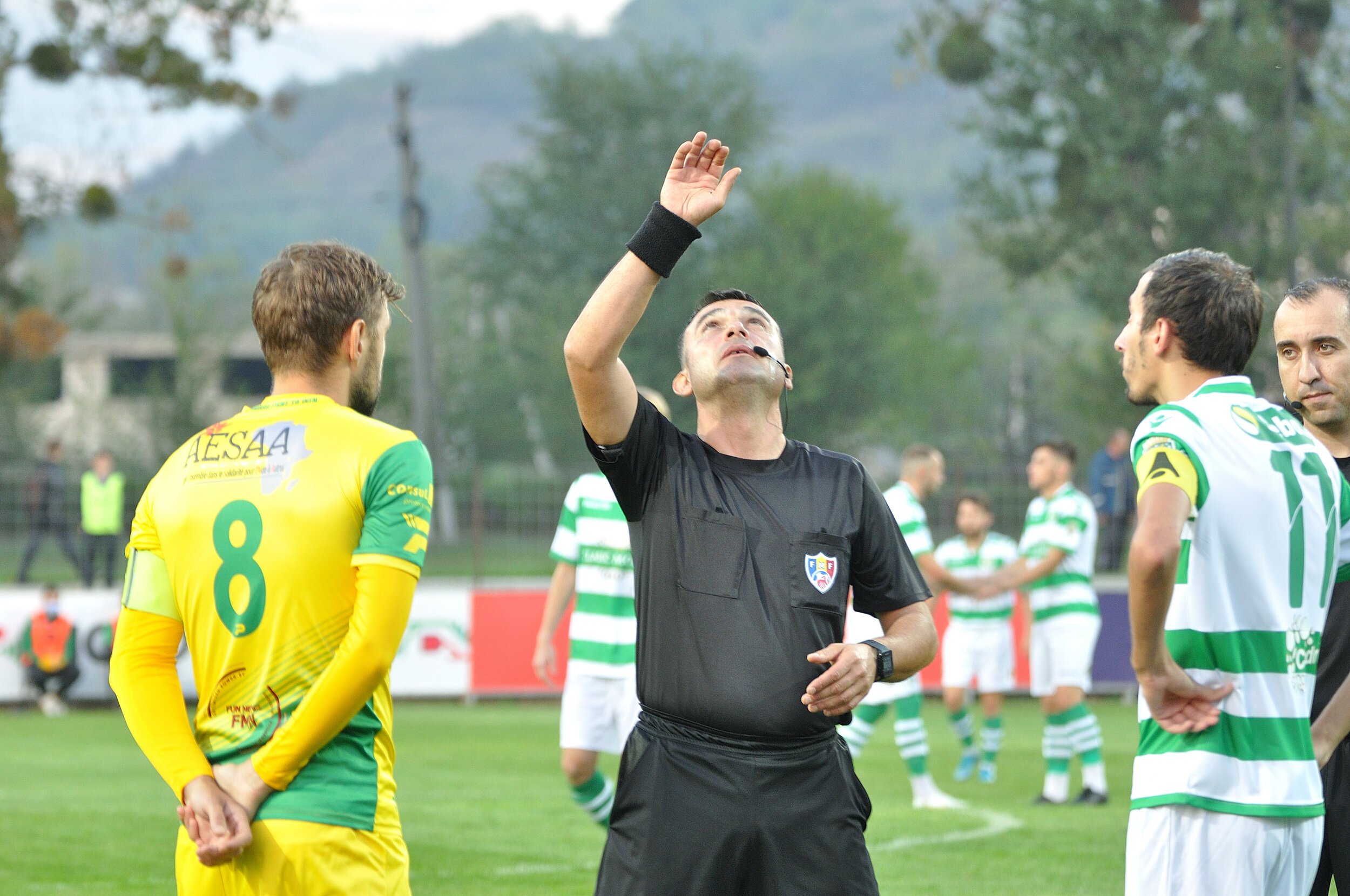 Codru_Zimbru_111.jpg