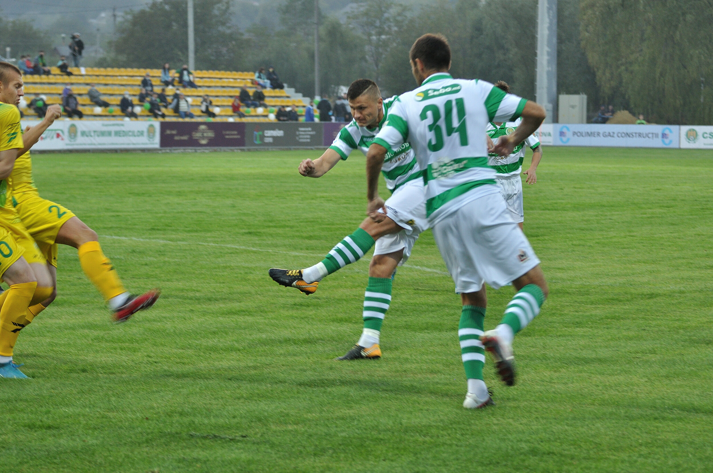 Codru_Zimbru_115.jpg