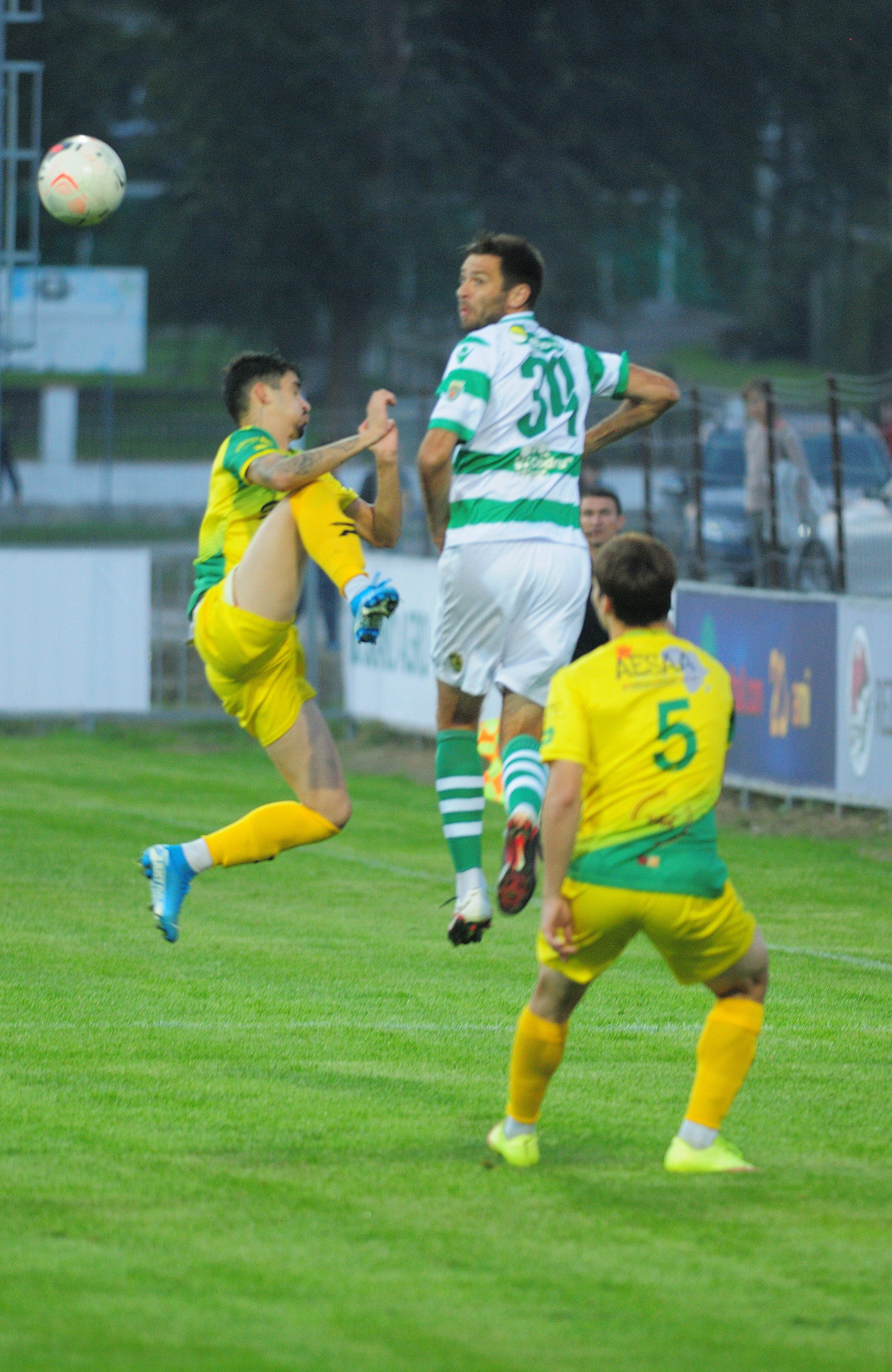 Codru_Zimbru_119.jpg