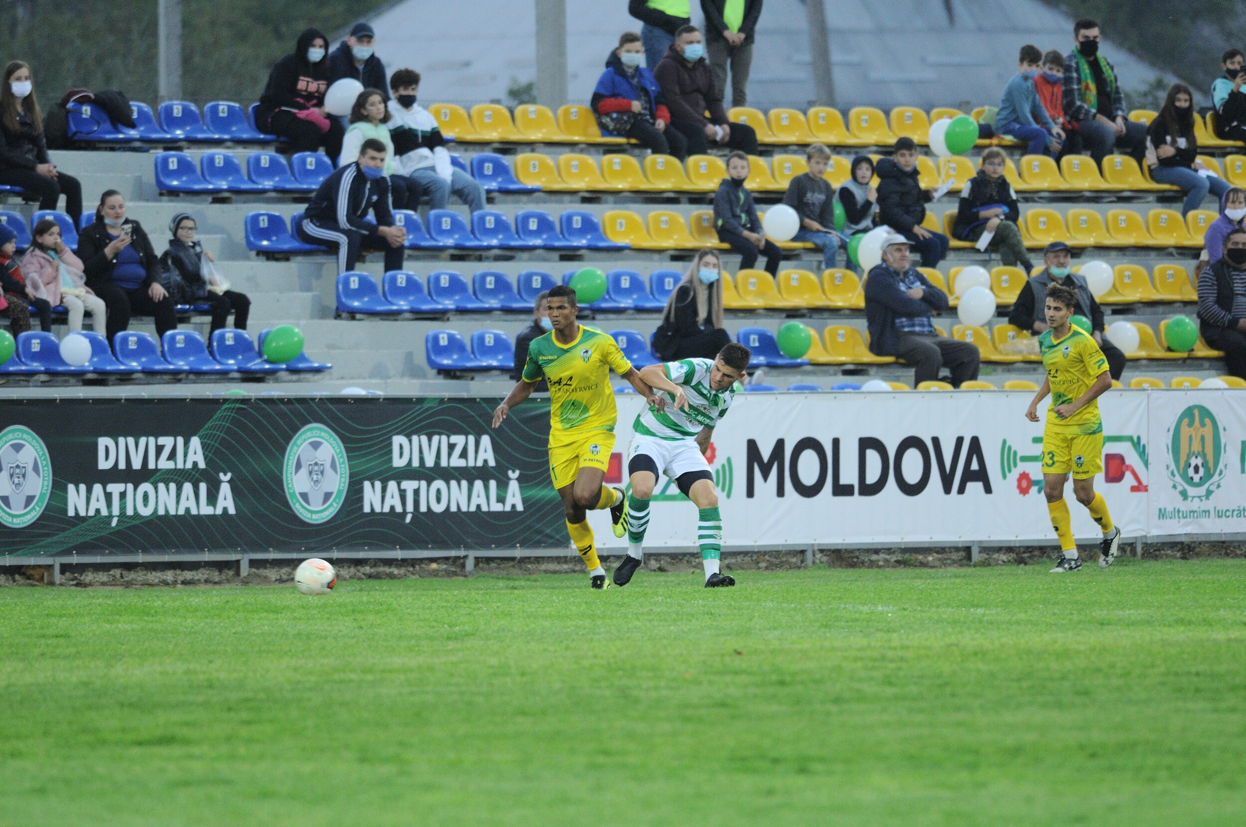 Codru_Zimbru_127.jpg