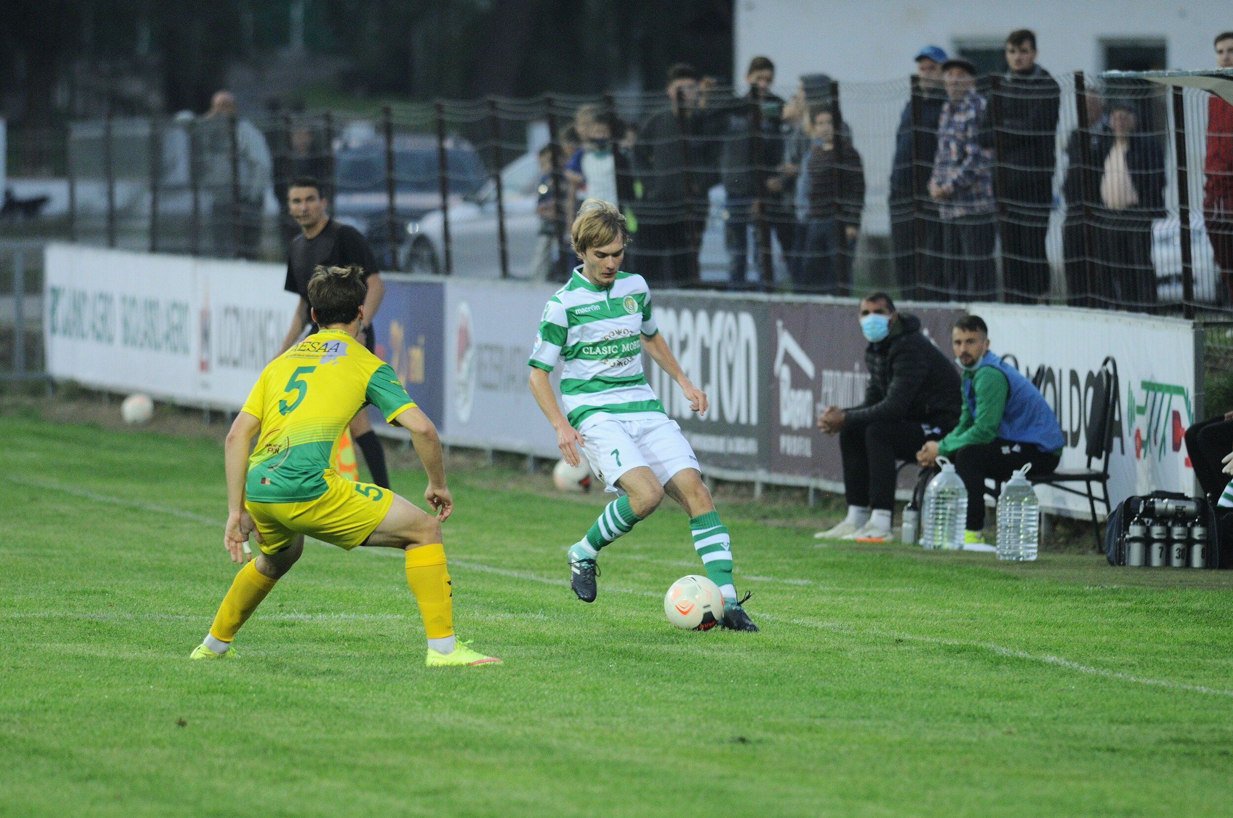 Codru_Zimbru_133.jpg