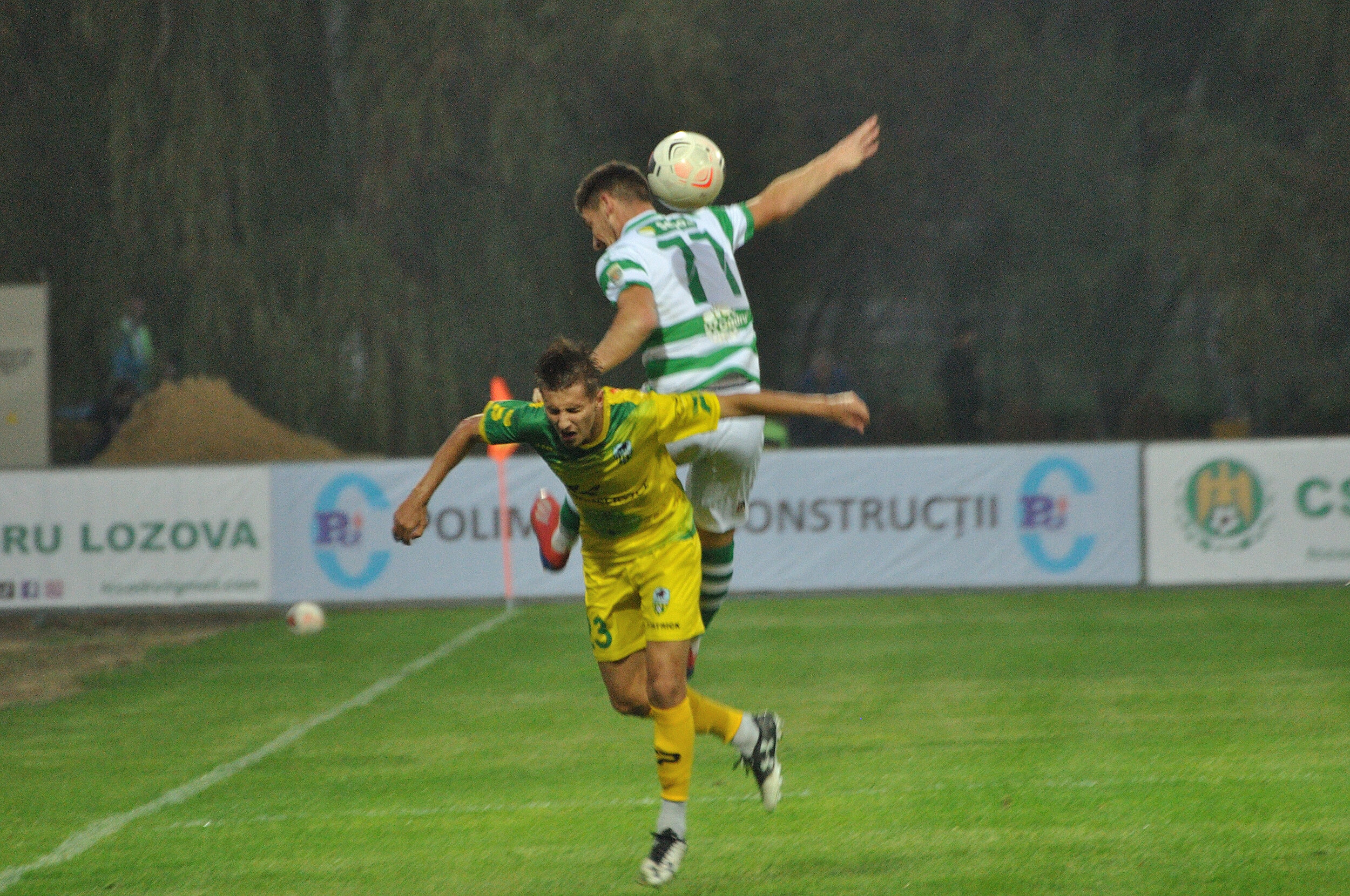 Codru_Zimbru_139.jpg