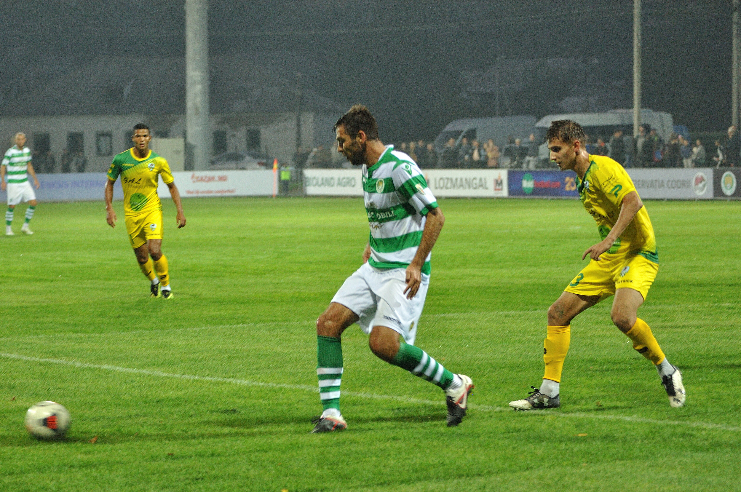 Codru_Zimbru_150.jpg
