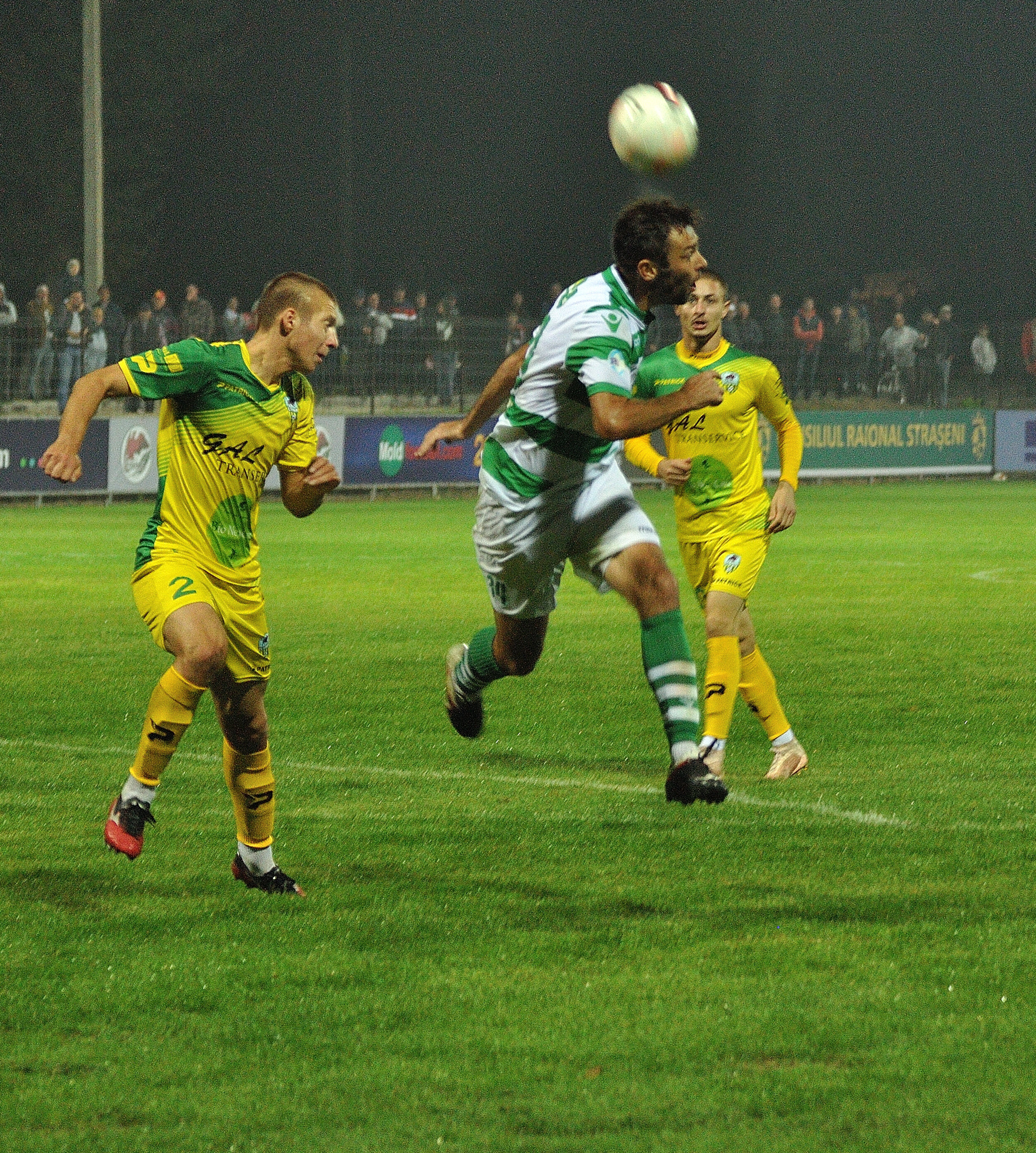 Codru_Zimbru_244.jpg