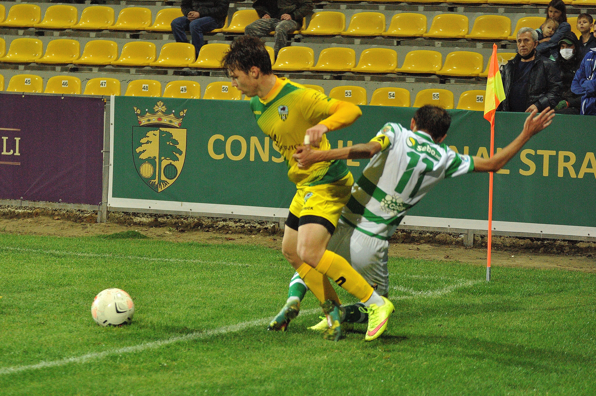 Codru_Zimbru_247.jpg