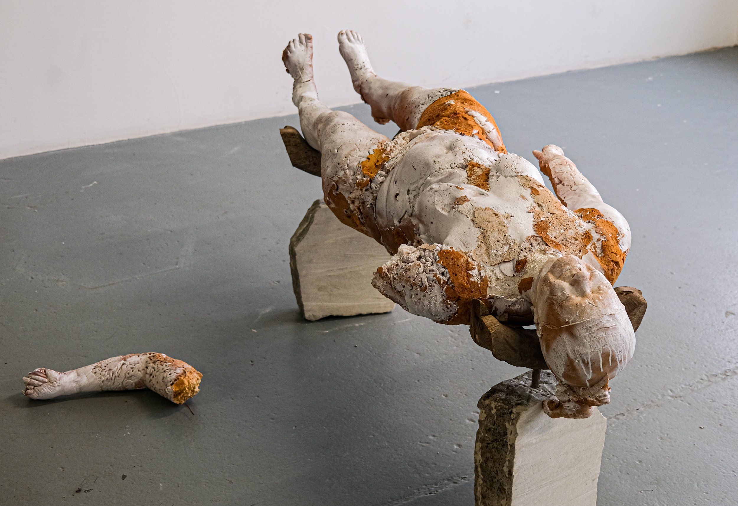 My Body - Sarah Fortes Mayer (Copy)