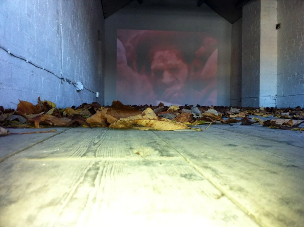 Title: Defiance of the fallen (2010)