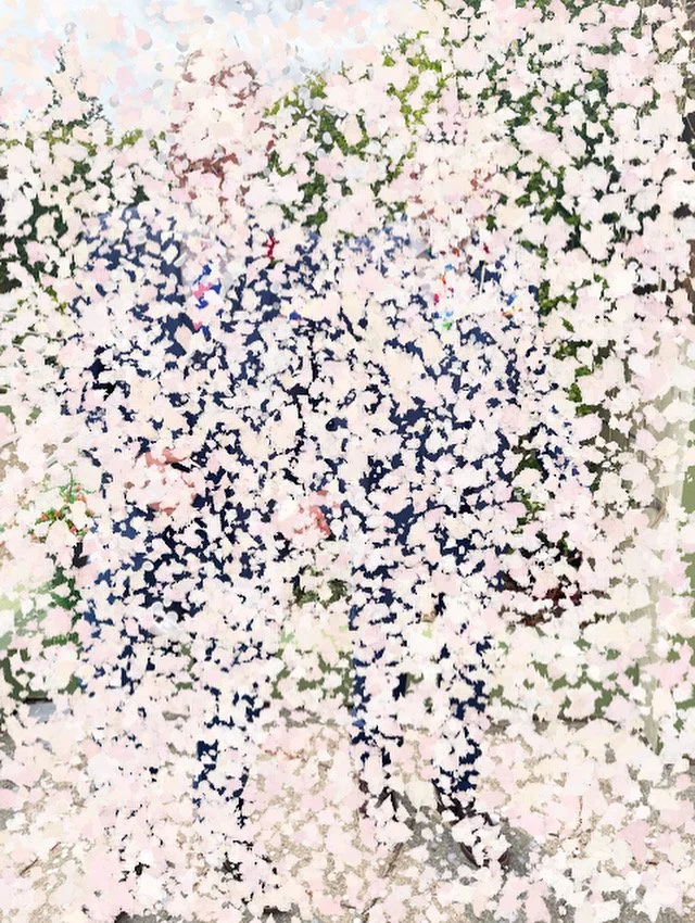 Confetti (2025) - video still