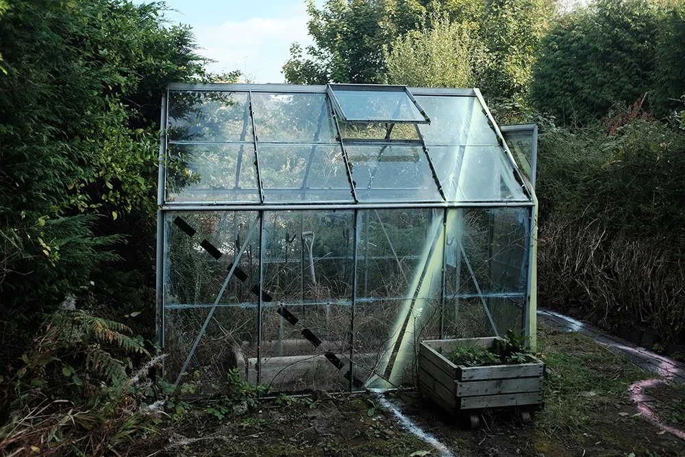 11Oct2015 Grasslands for web.jpg