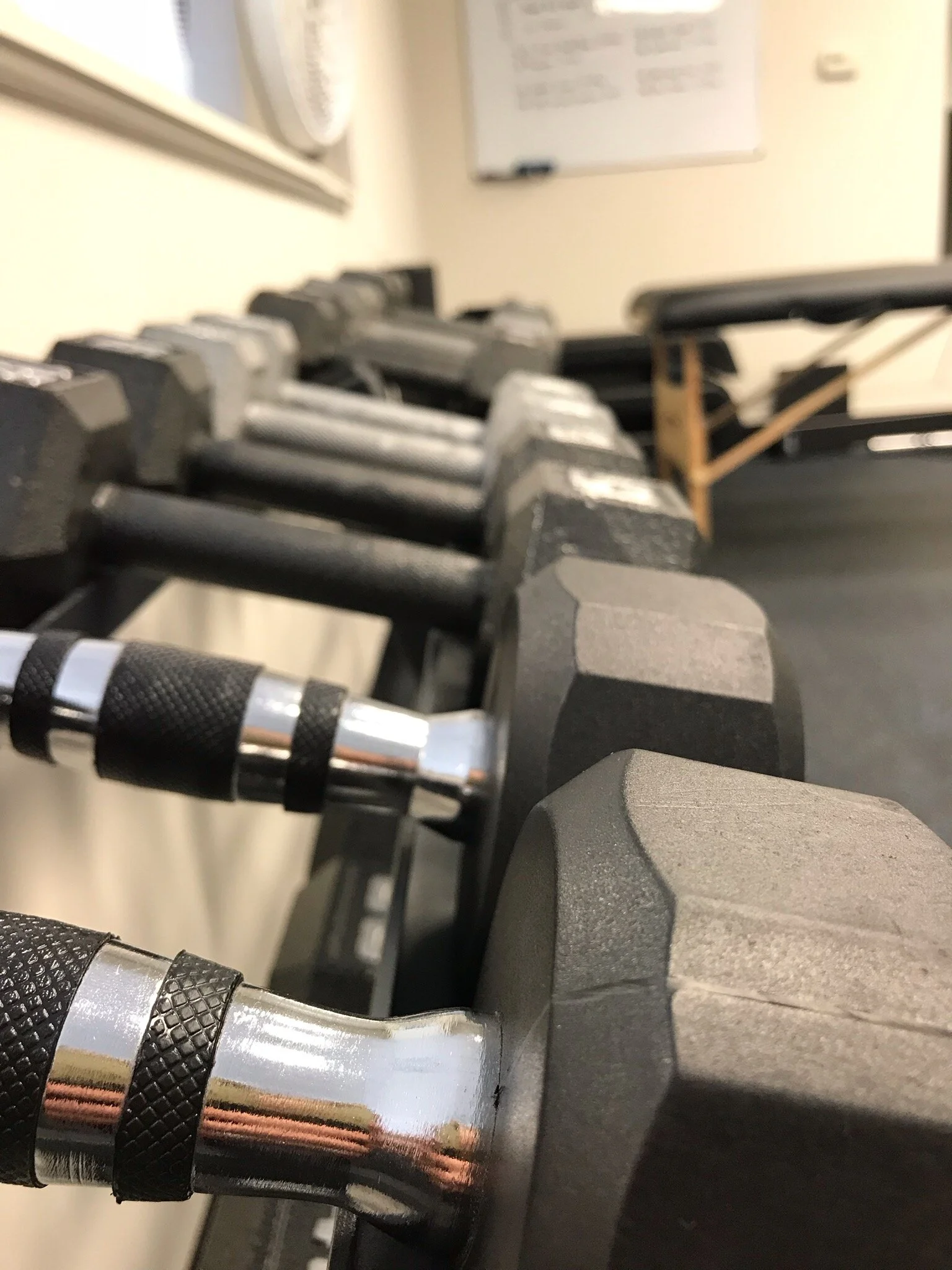 Dumbbells.jpg