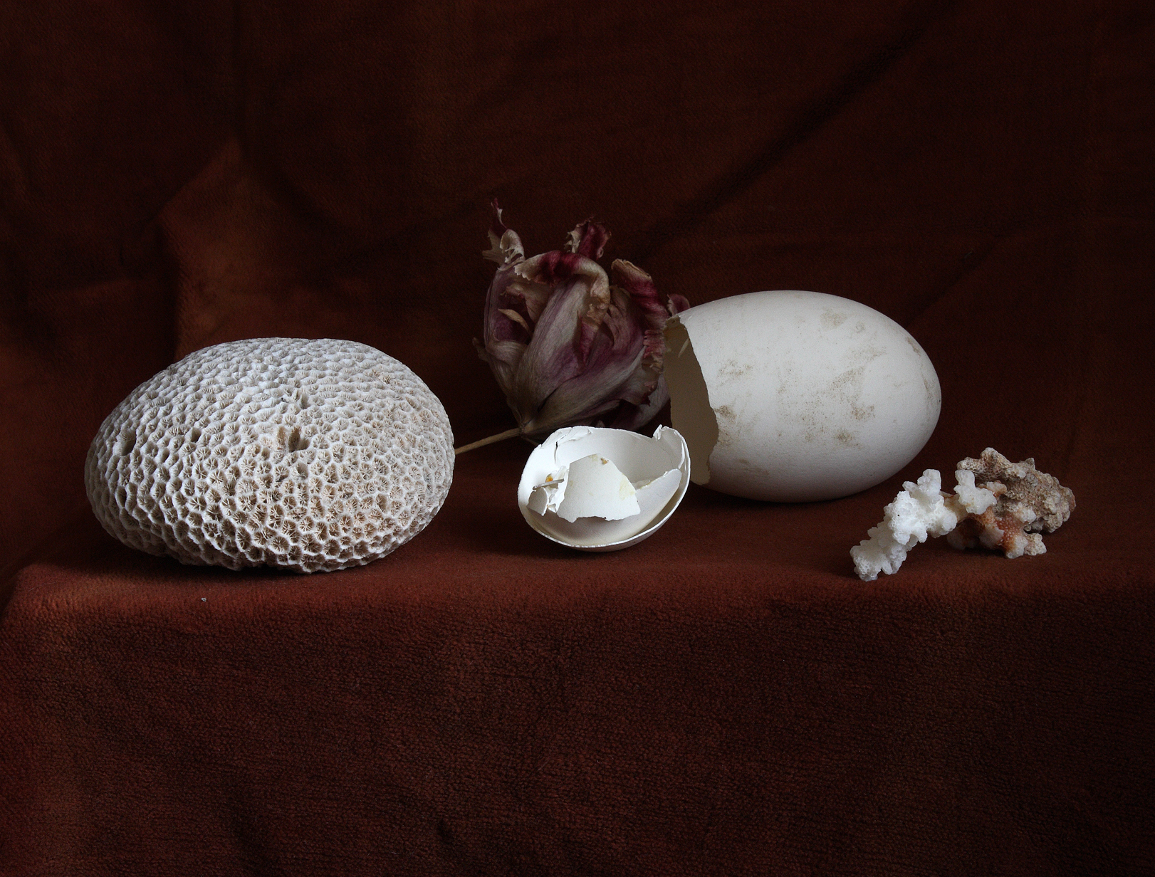 Still Life with a Broken Egg, Antwerp, 2013