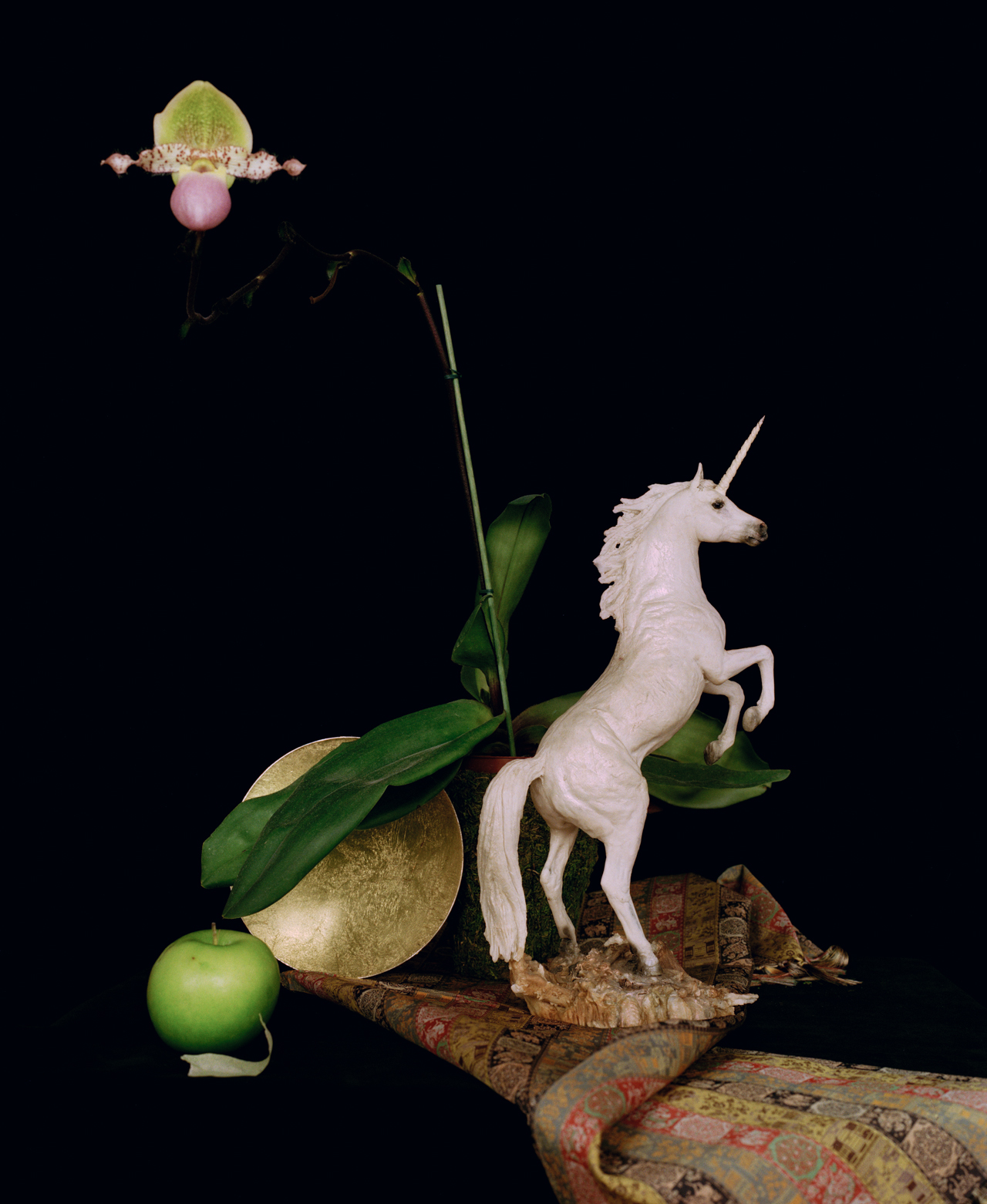 Still Life with an Orchid, a Green Apple and a Plaster Unicorn, London, 2014