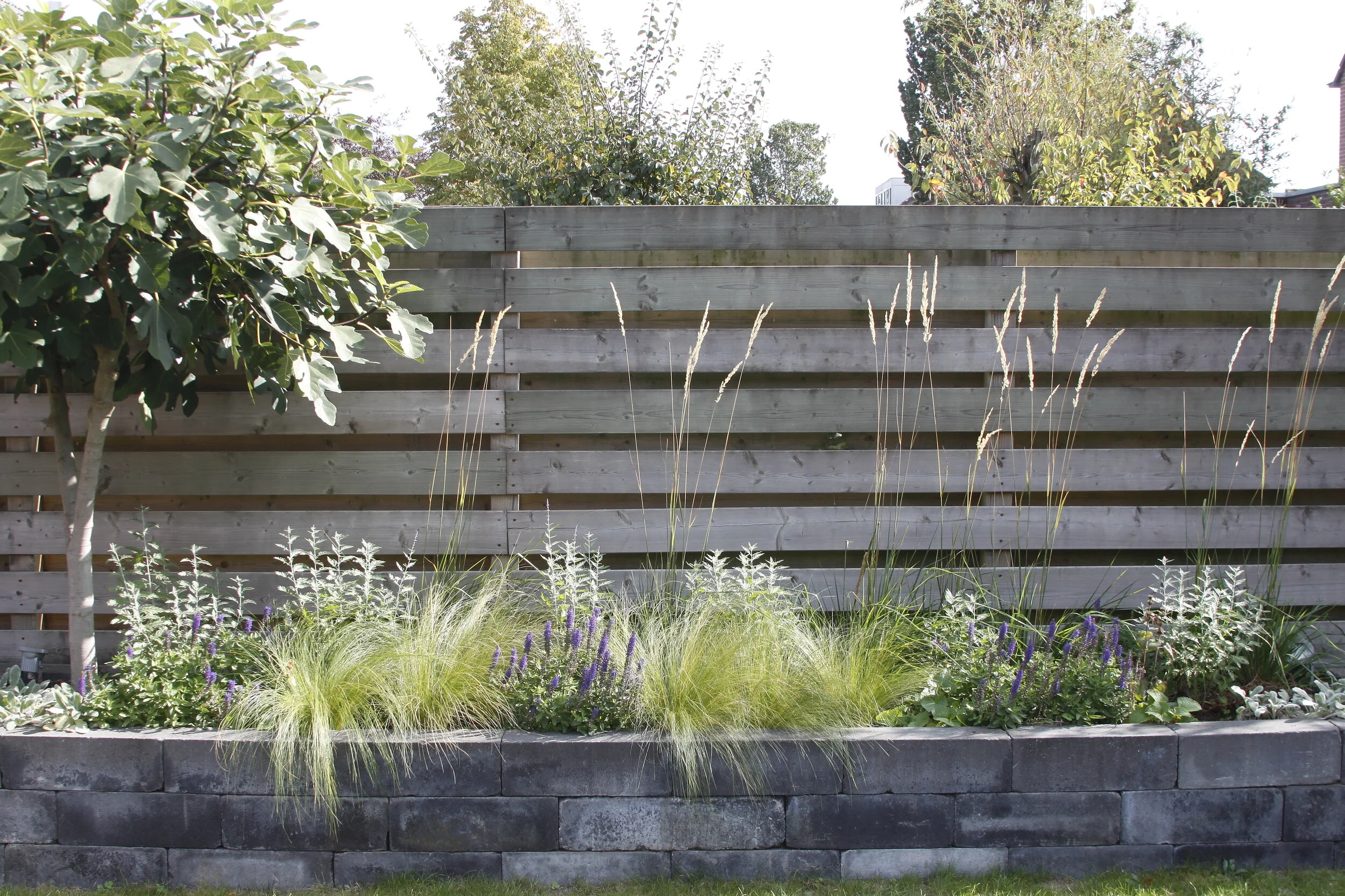 _MG_9871 kopiëren.JPG