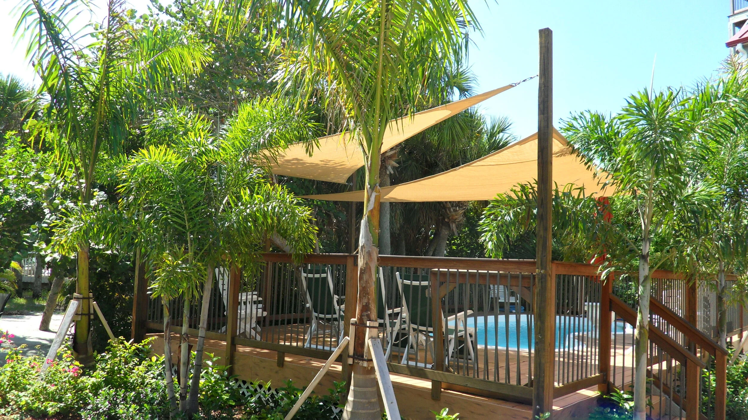 2 Beige Sails by pool.JPG