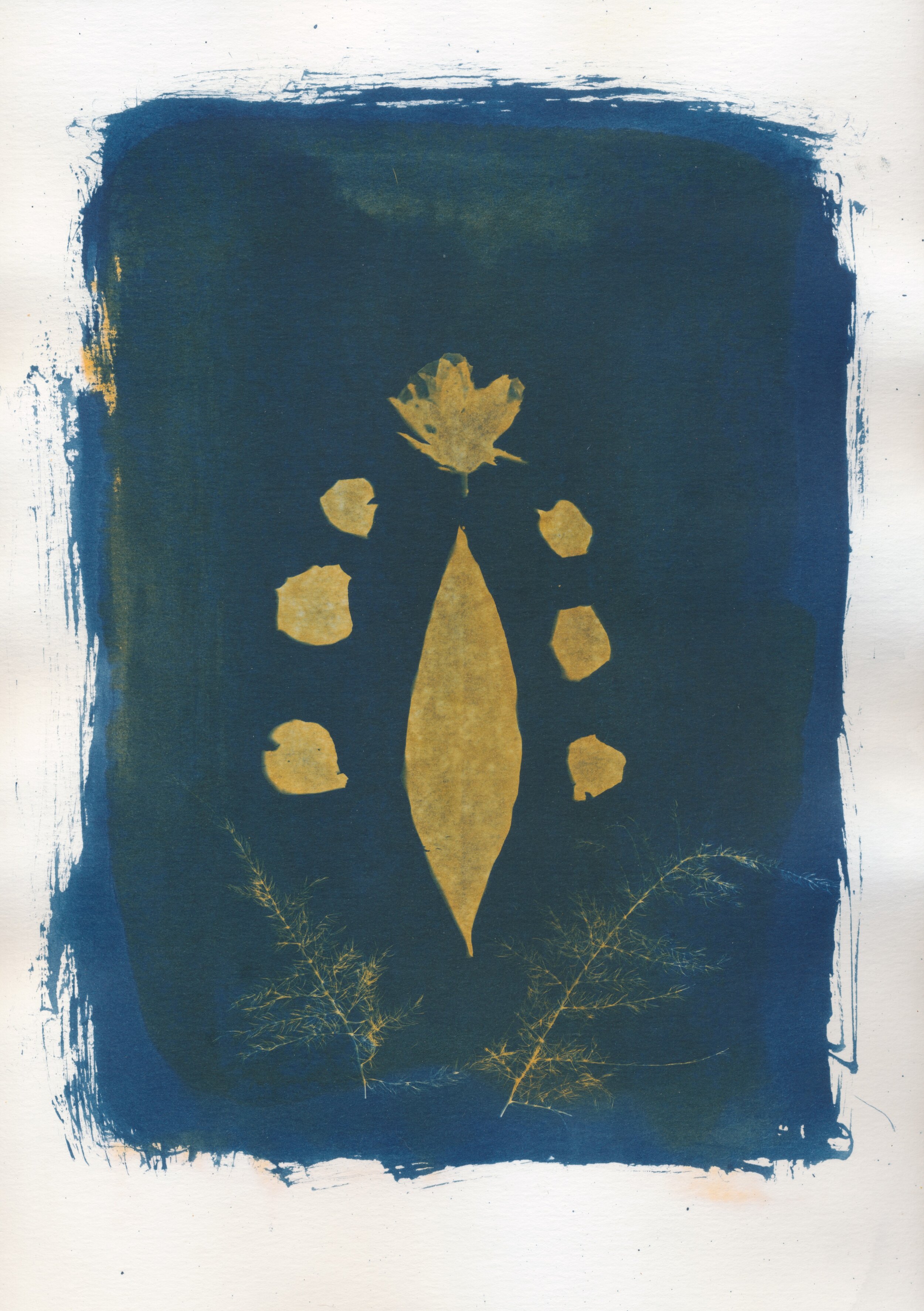 may cyanotype 2020 3.jpeg