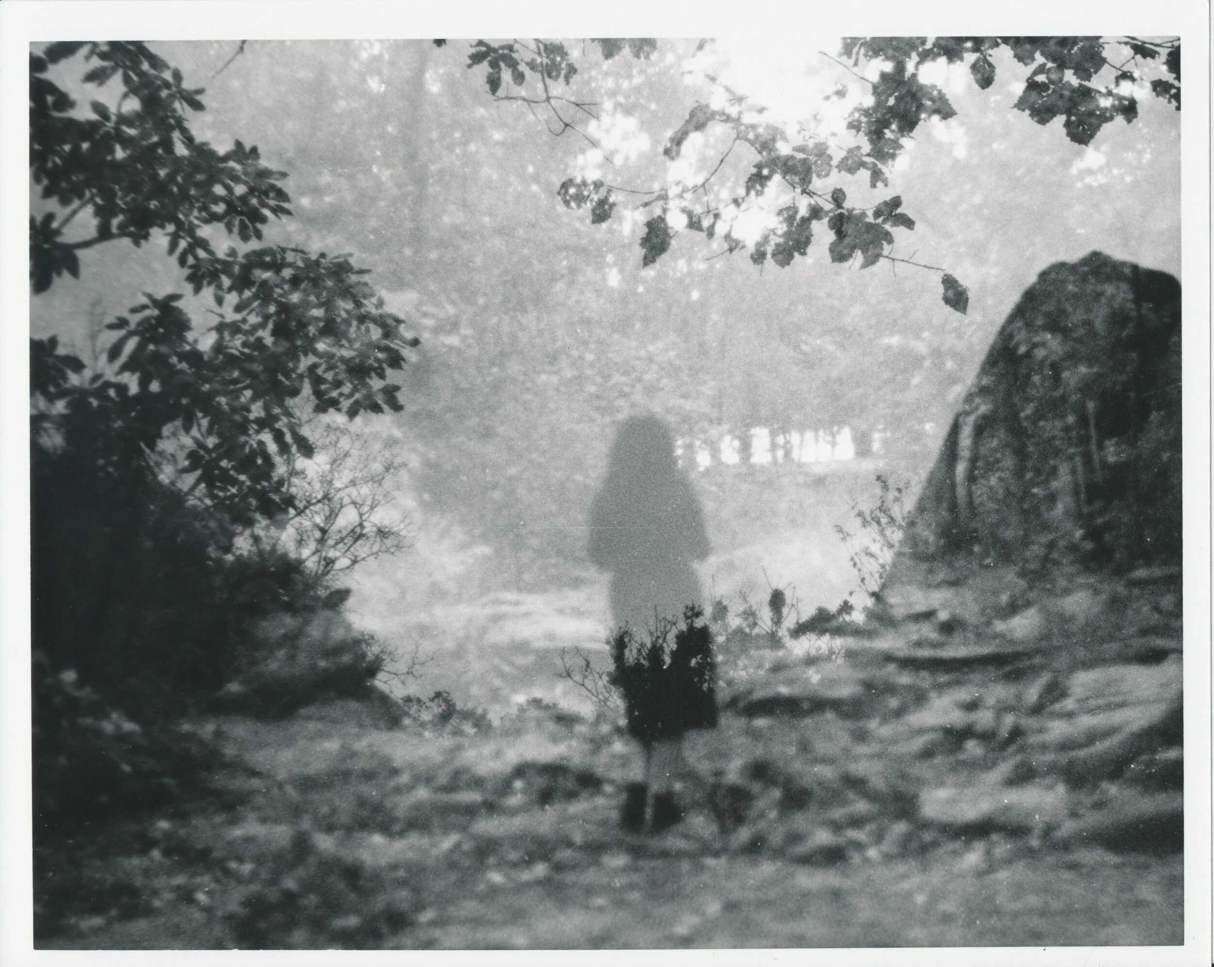 35mm & 120 film — Rachel Rector