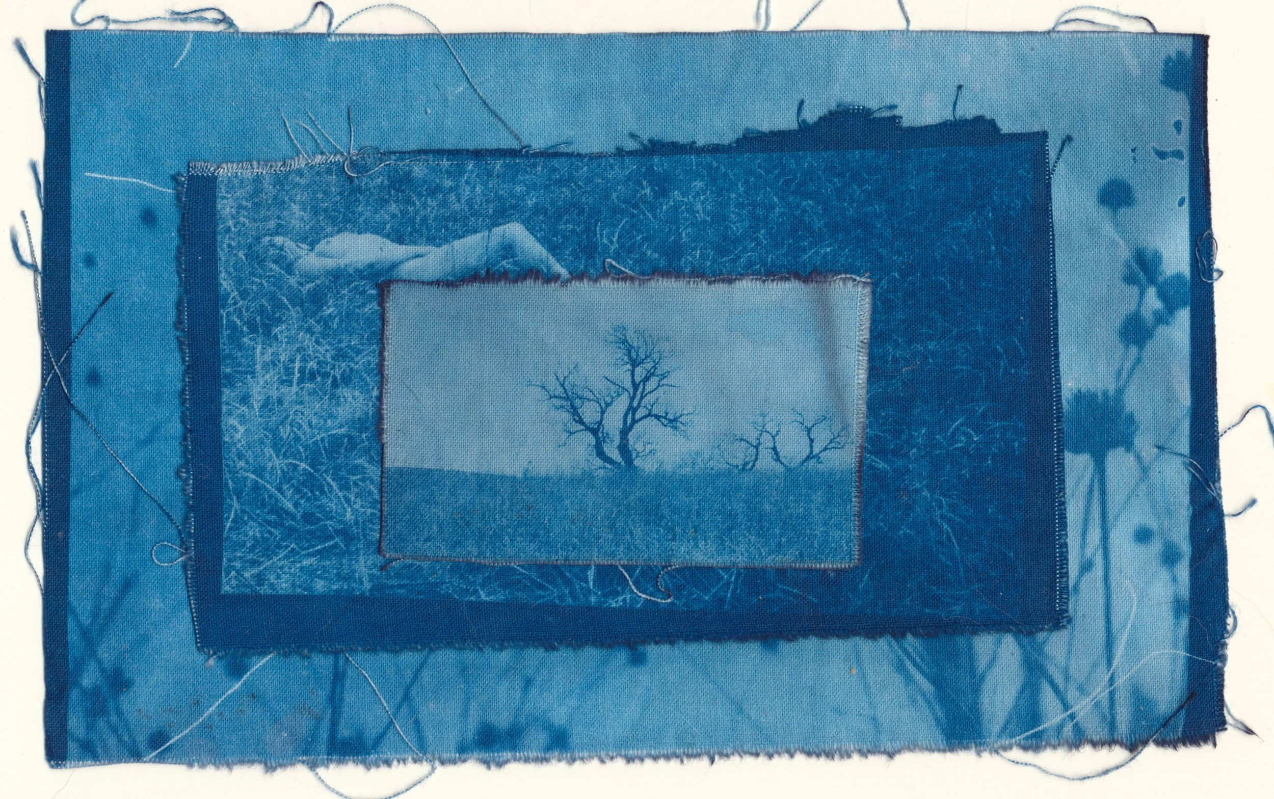 january cyanotype fabric 2024 57.jpg
