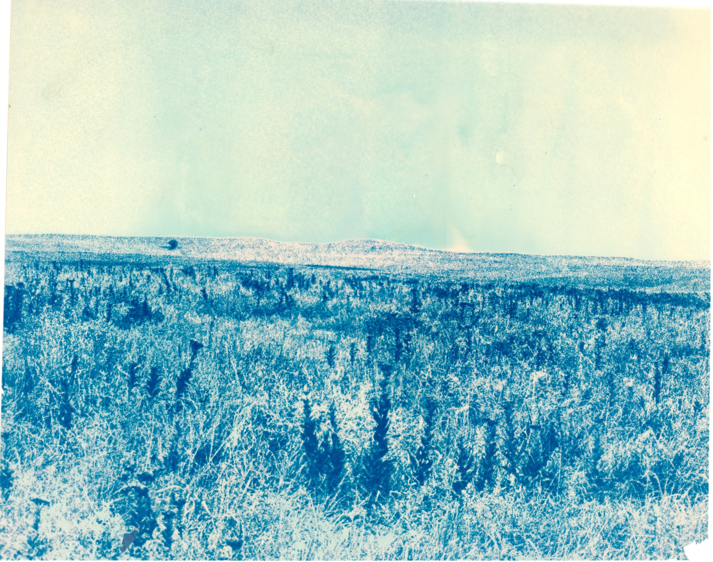 March transfer cyan 6 2024.jpg