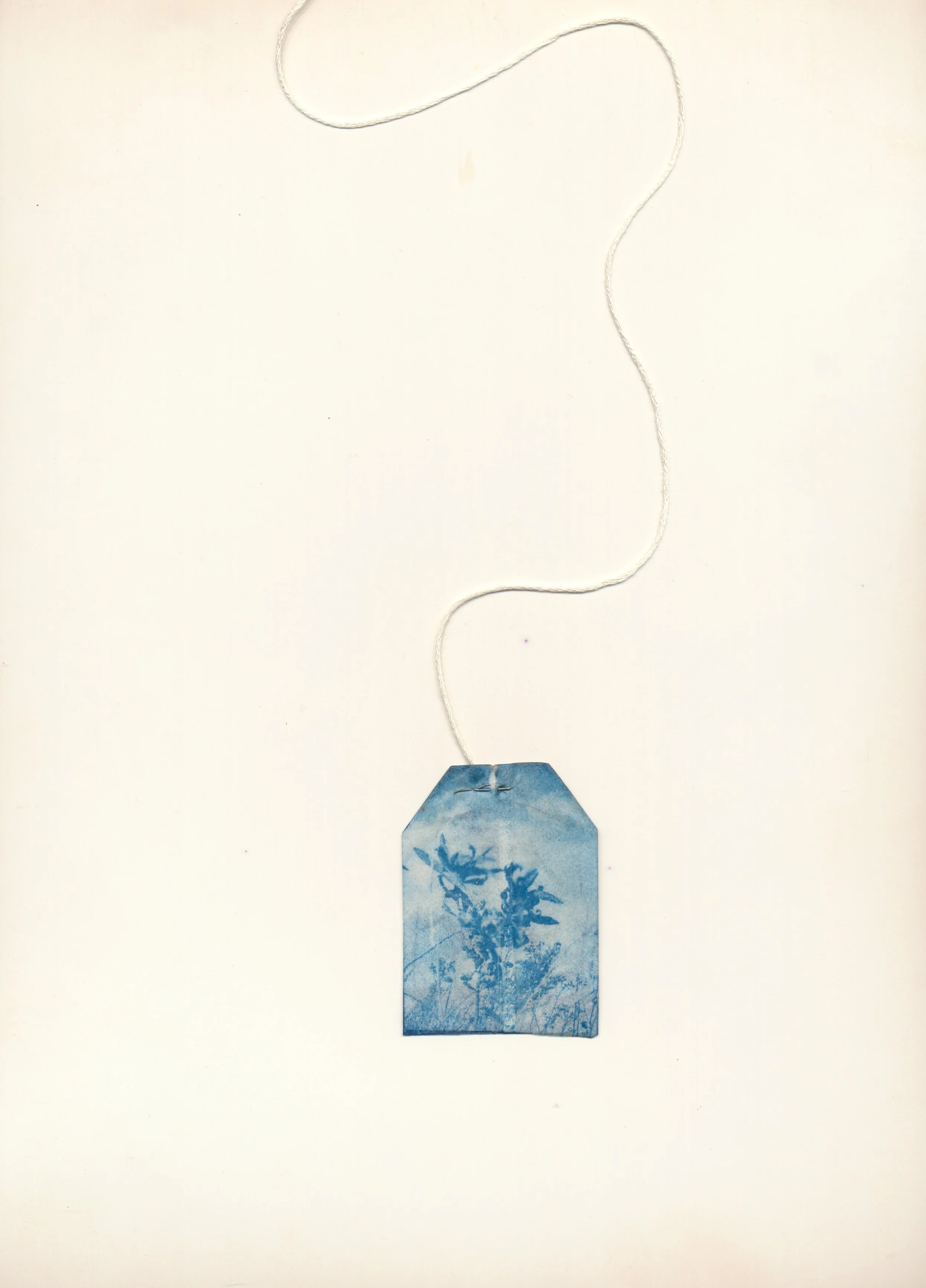 january-february teabag mobile 2024 41.jpg