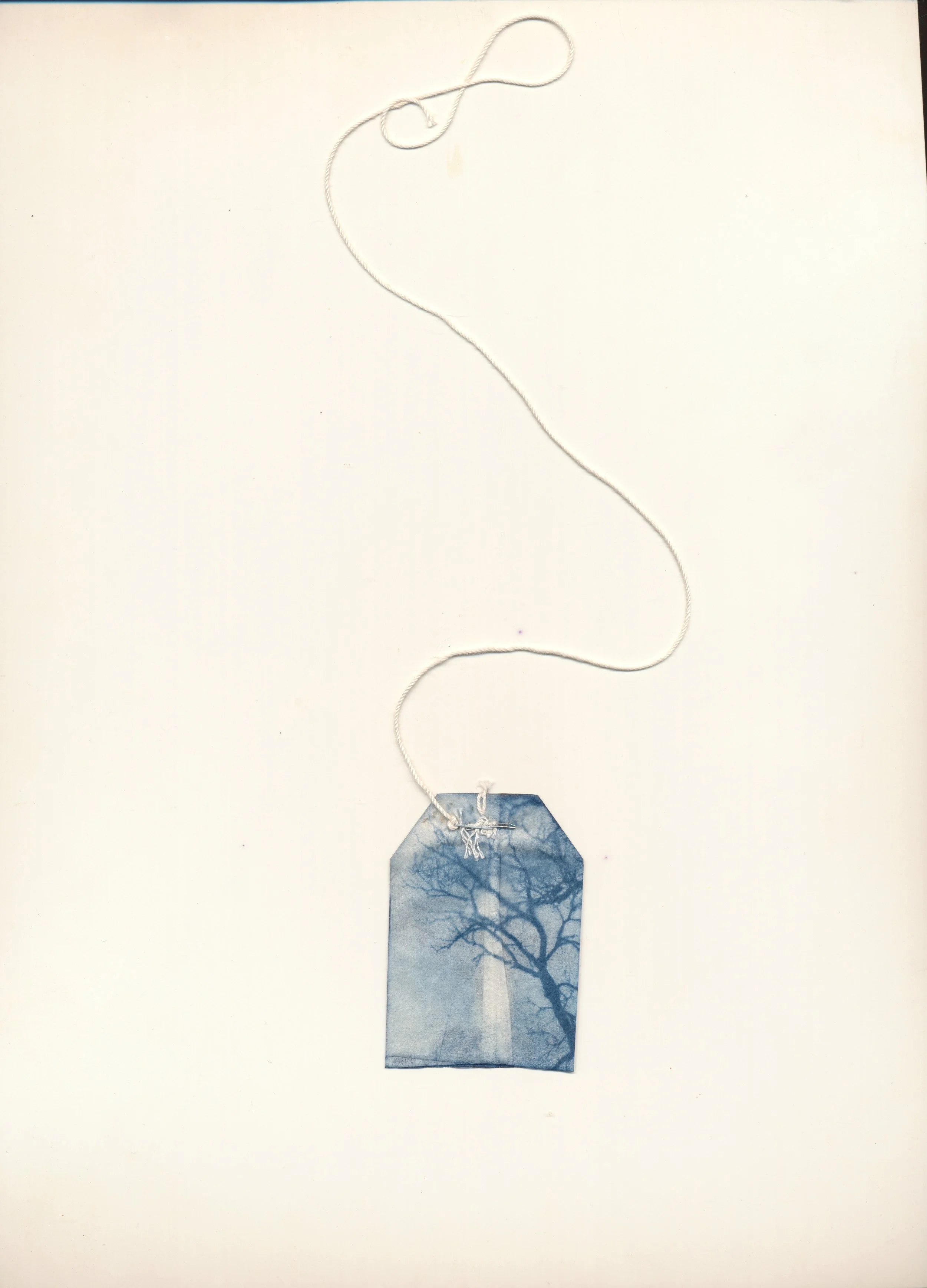 january-february teabag mobile 2024 3.jpg
