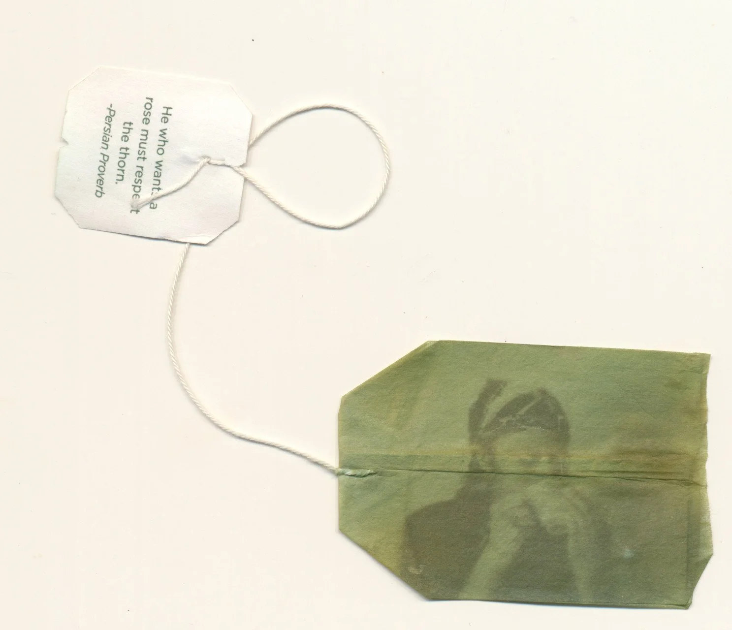 December 2023 Sunprint 5.jpg