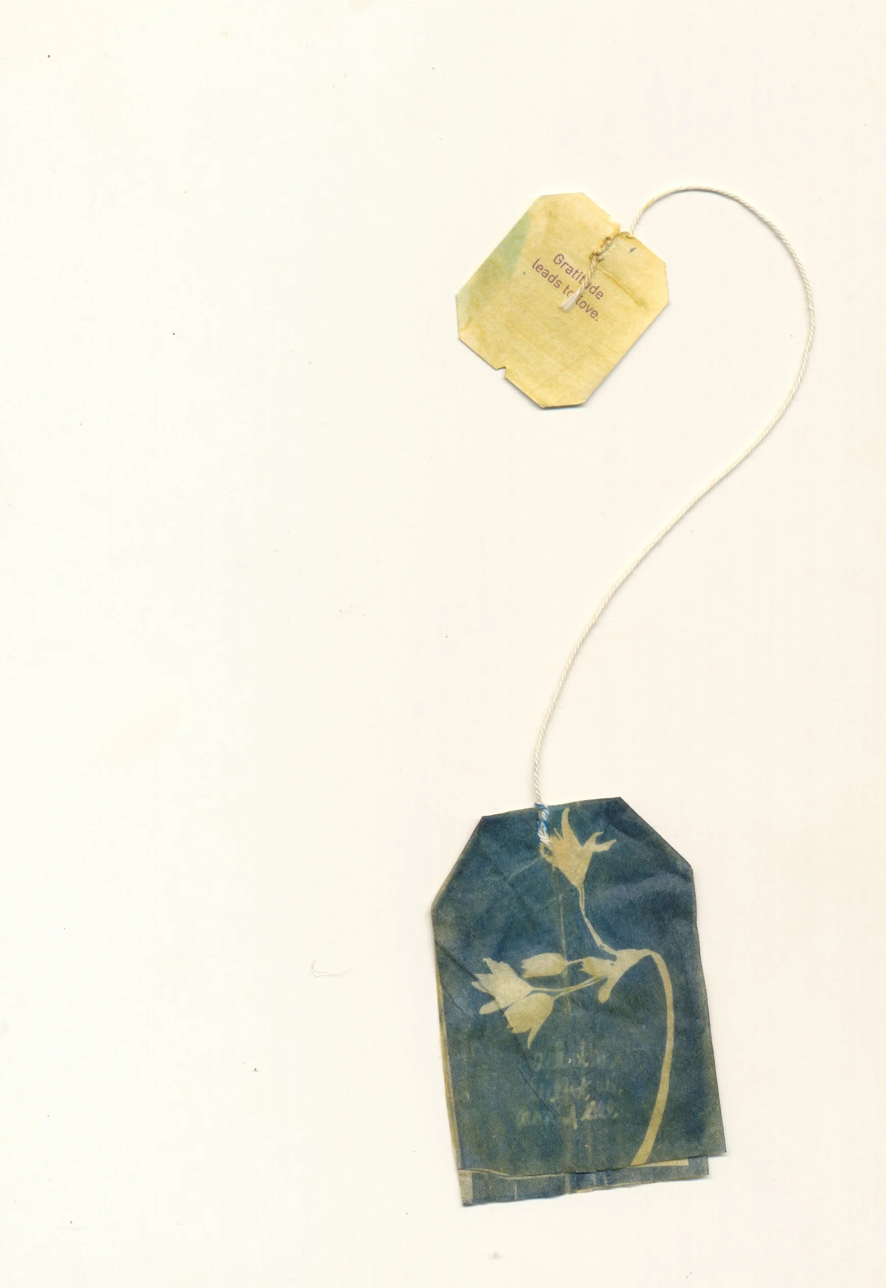 December 2023 Sunprint 19.jpg