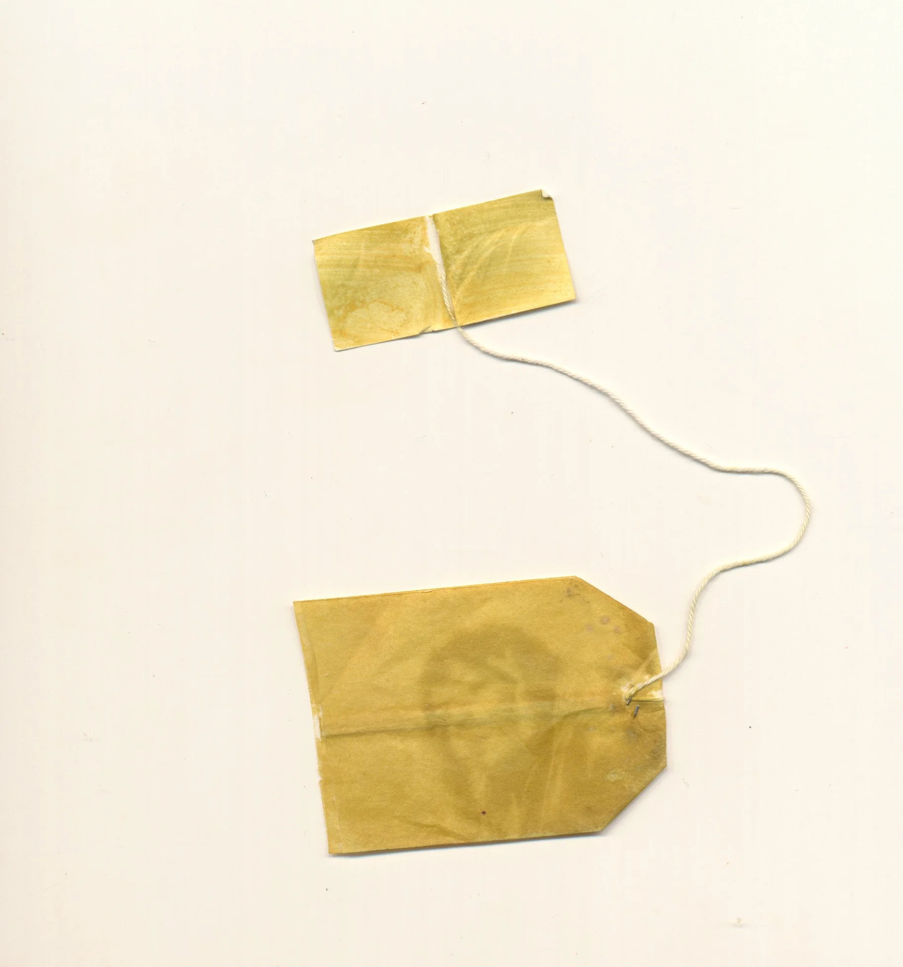 December Sunprint teabag 4 2023.jpg