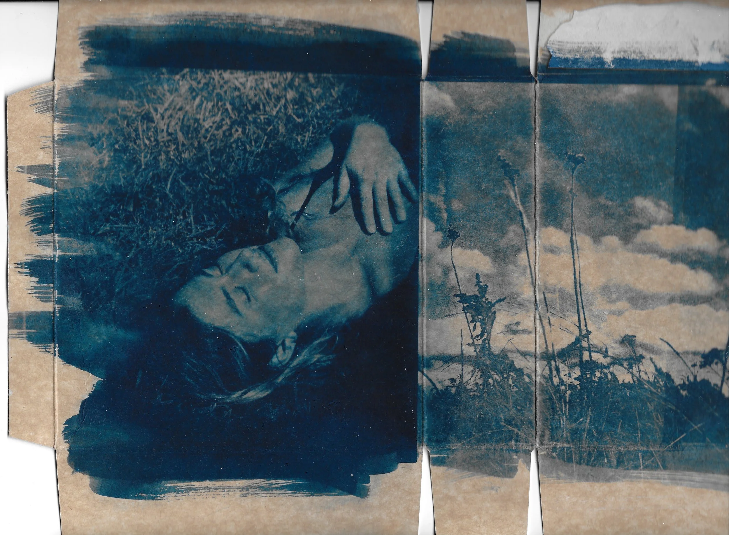 january cyanotype 2023 copy.jpeg