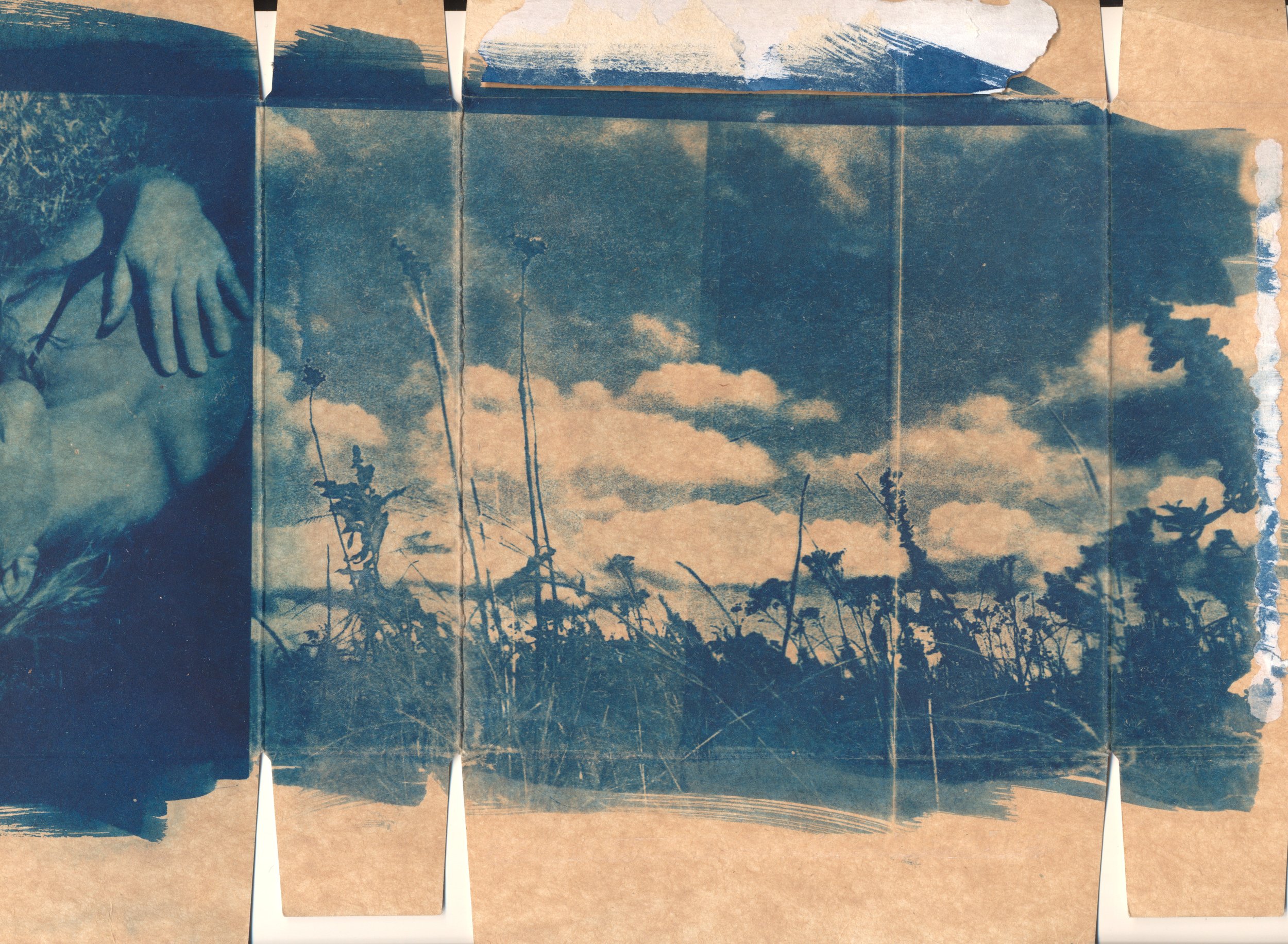 january2023cyanotype1.jpg