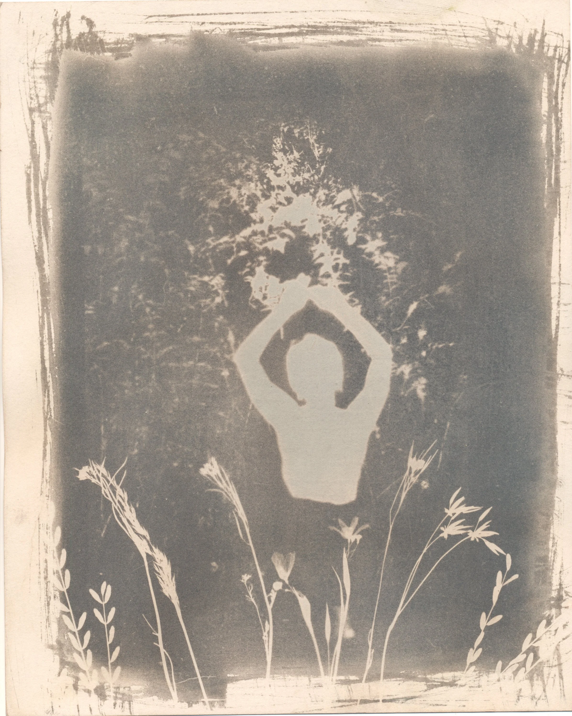january2023cyanotype2.jpg