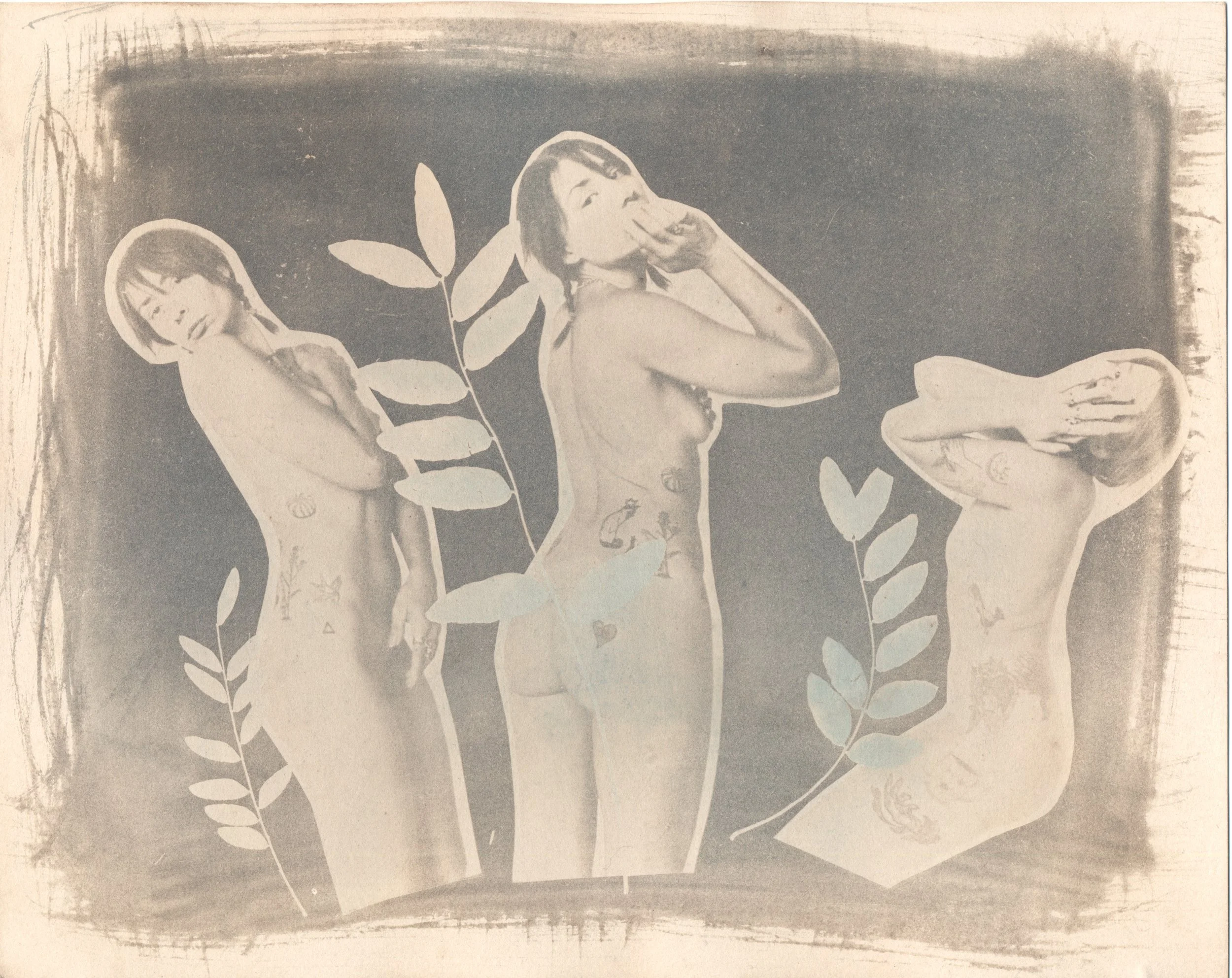january2023cyanotype15.jpg