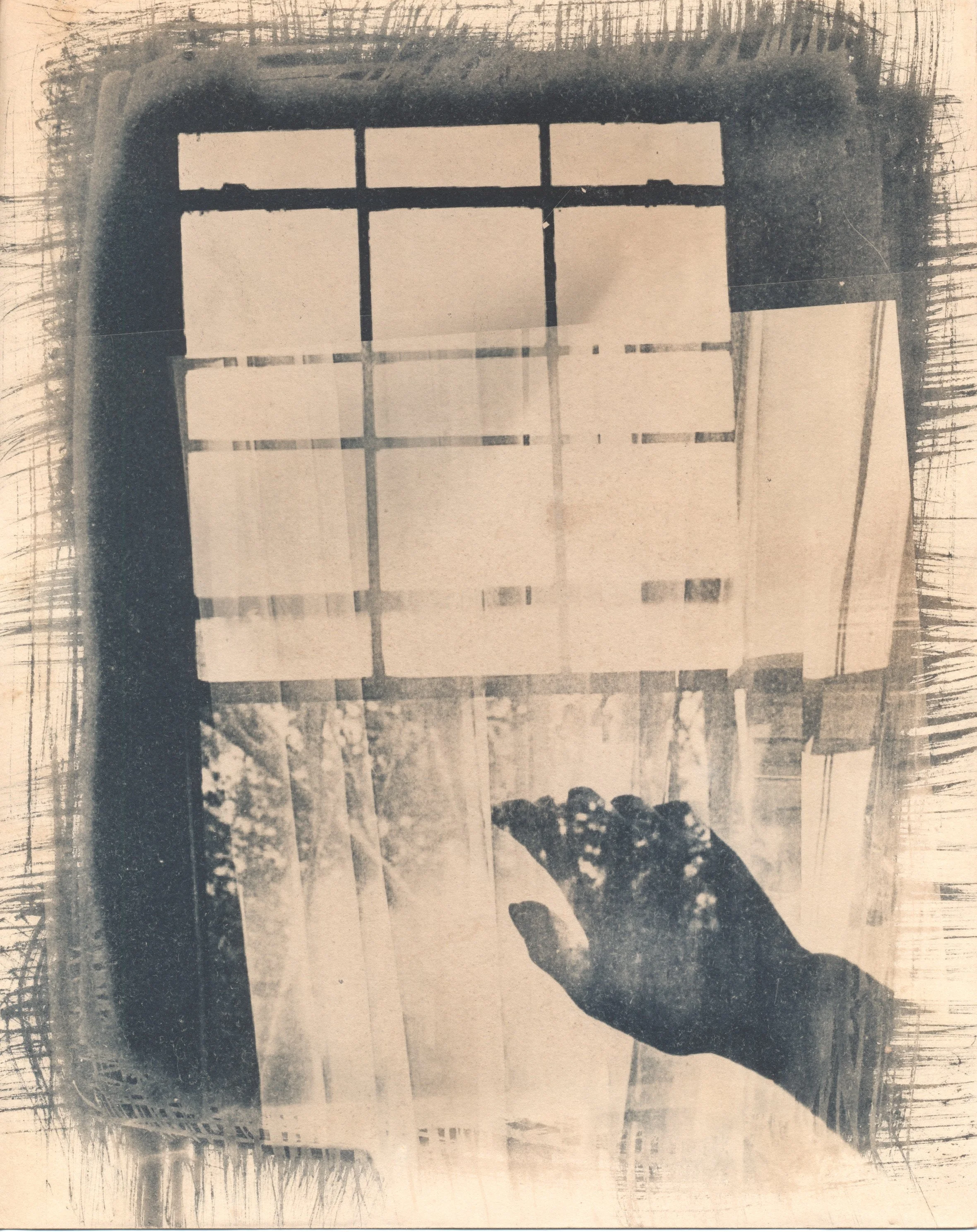january2023cyanotype23.jpg