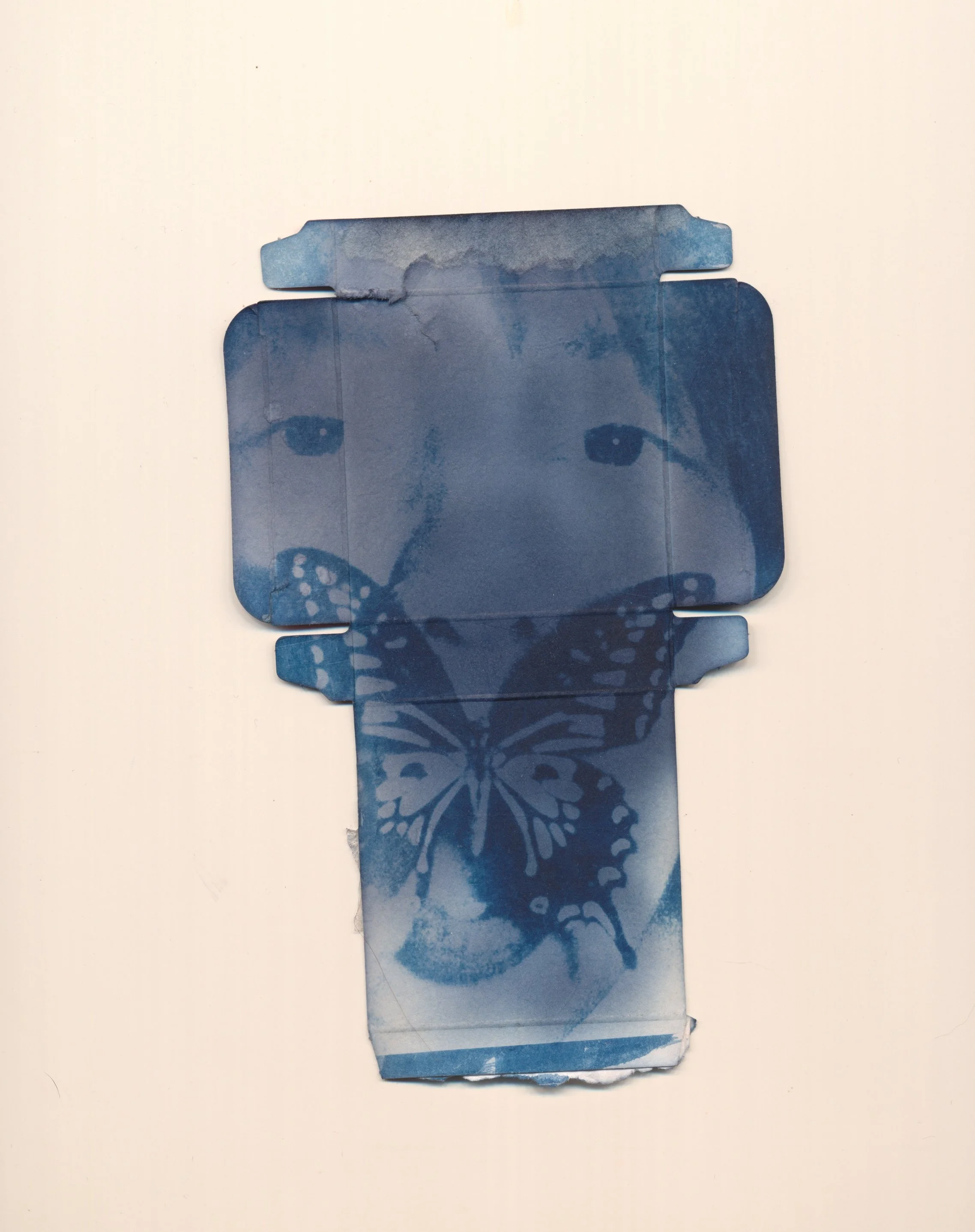 january2023cyanotype27.jpg