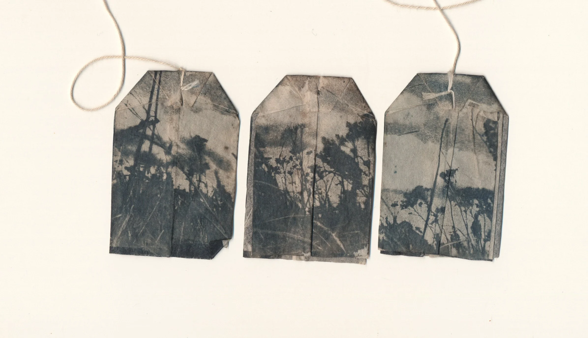 january2023cyanotype46 copy.jpg