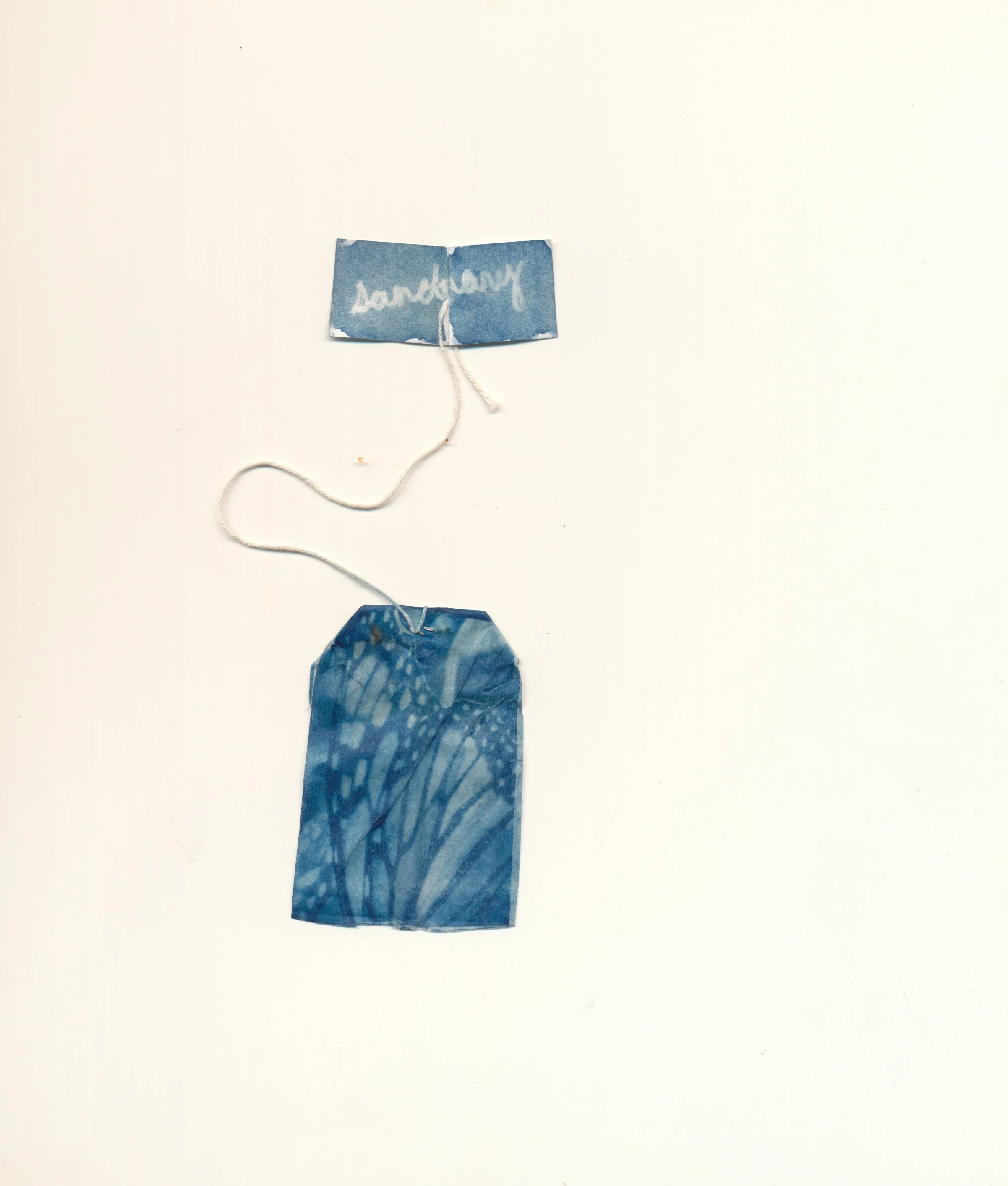 january2023cyanotype59.jpg