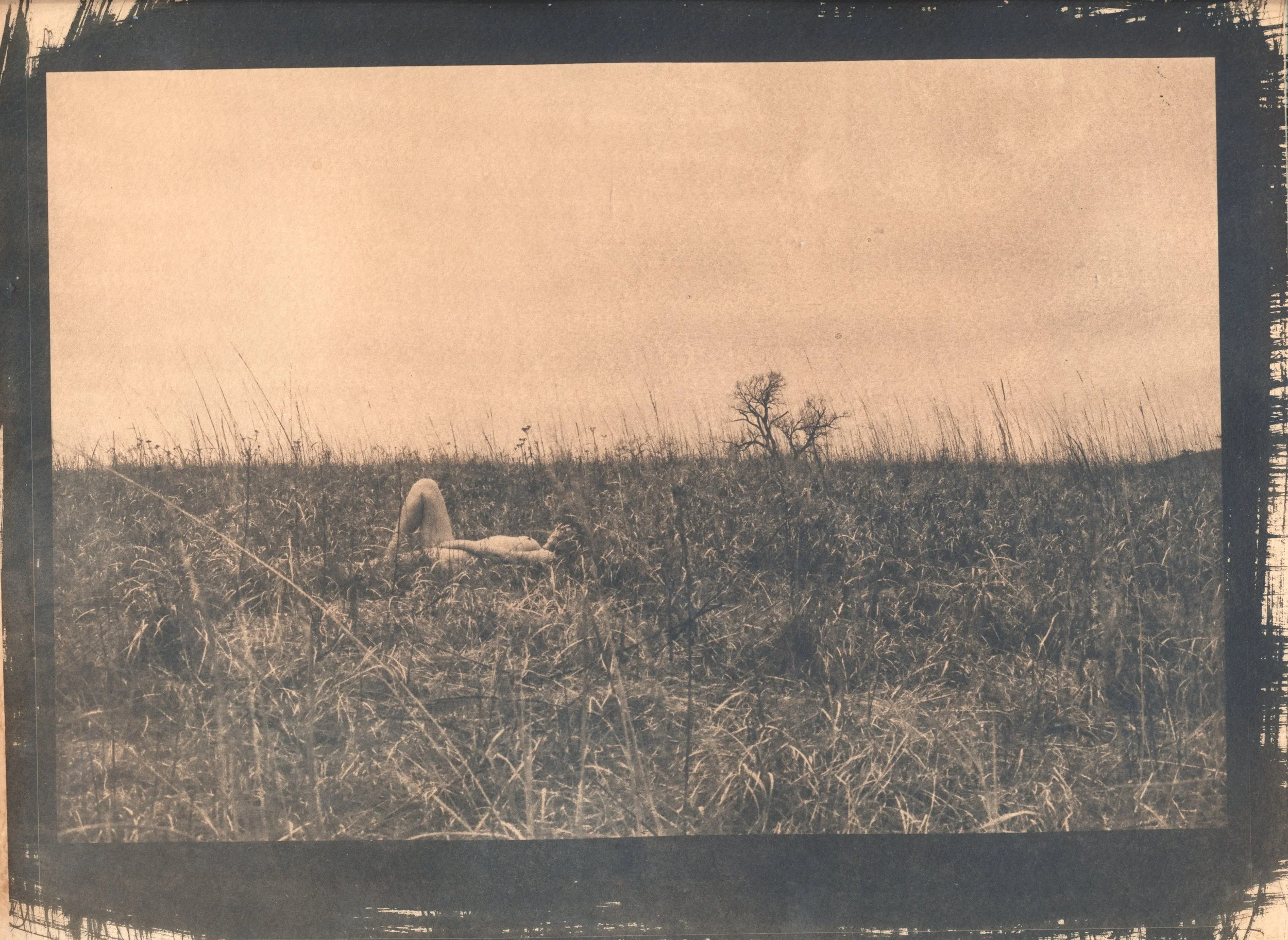 may cyanotype 5.jpg