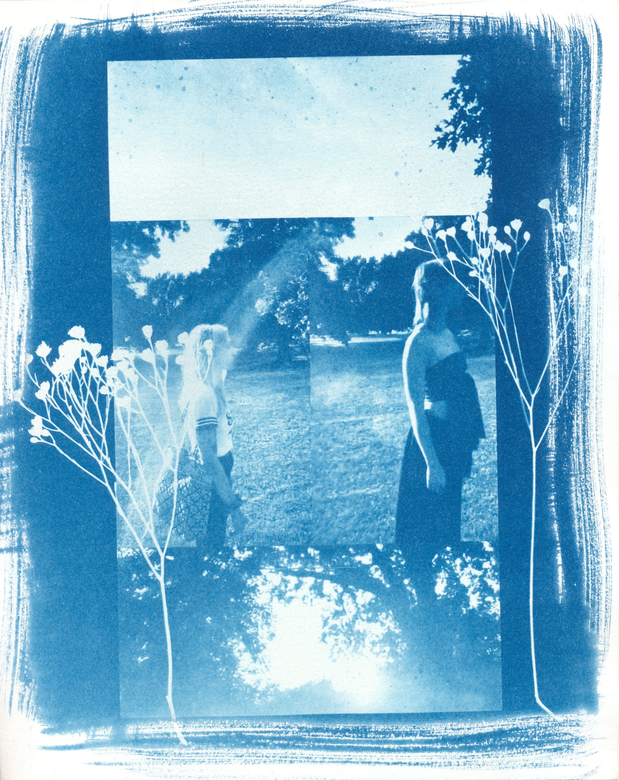 october cyanotype 2023 2.jpg