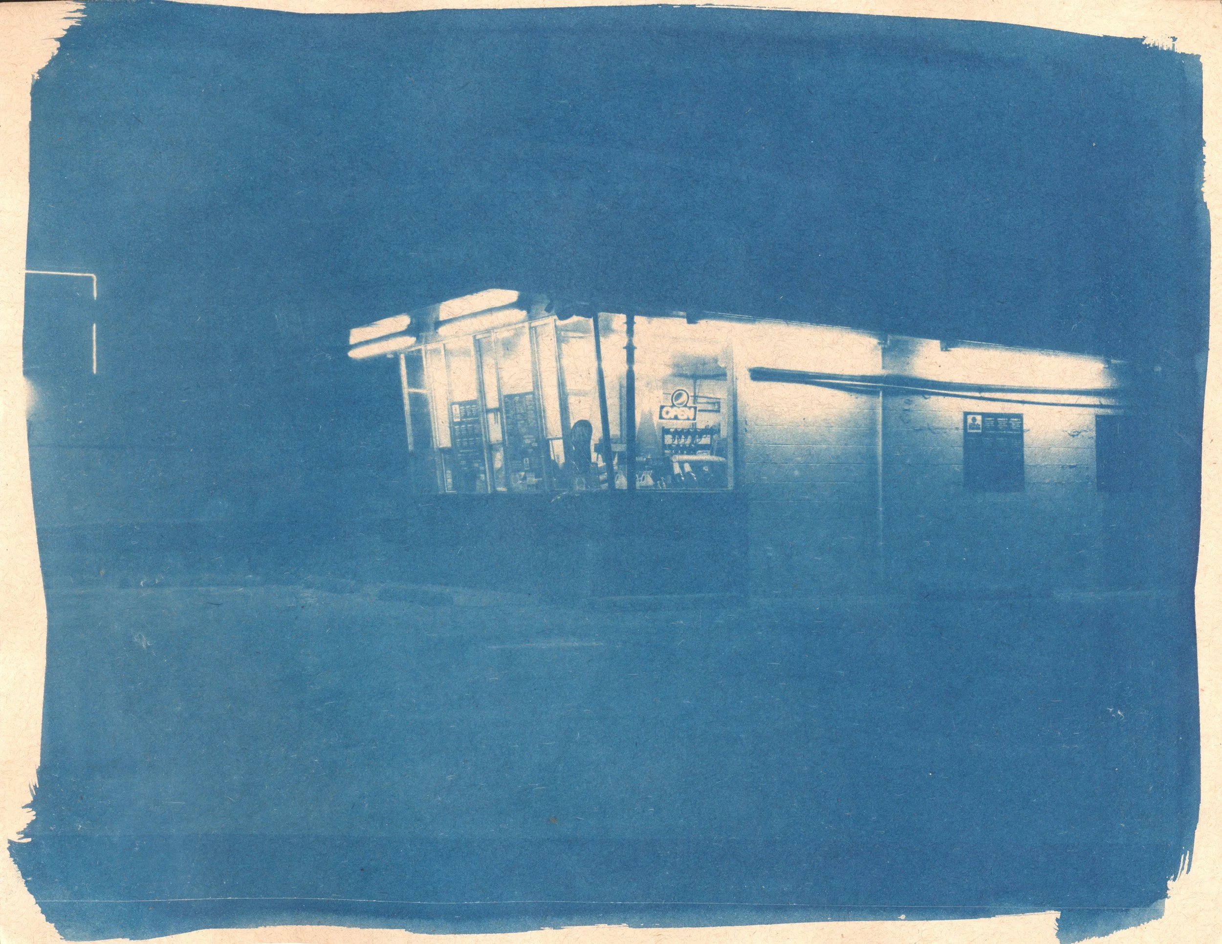 September cyanotype 2023 14.jpg