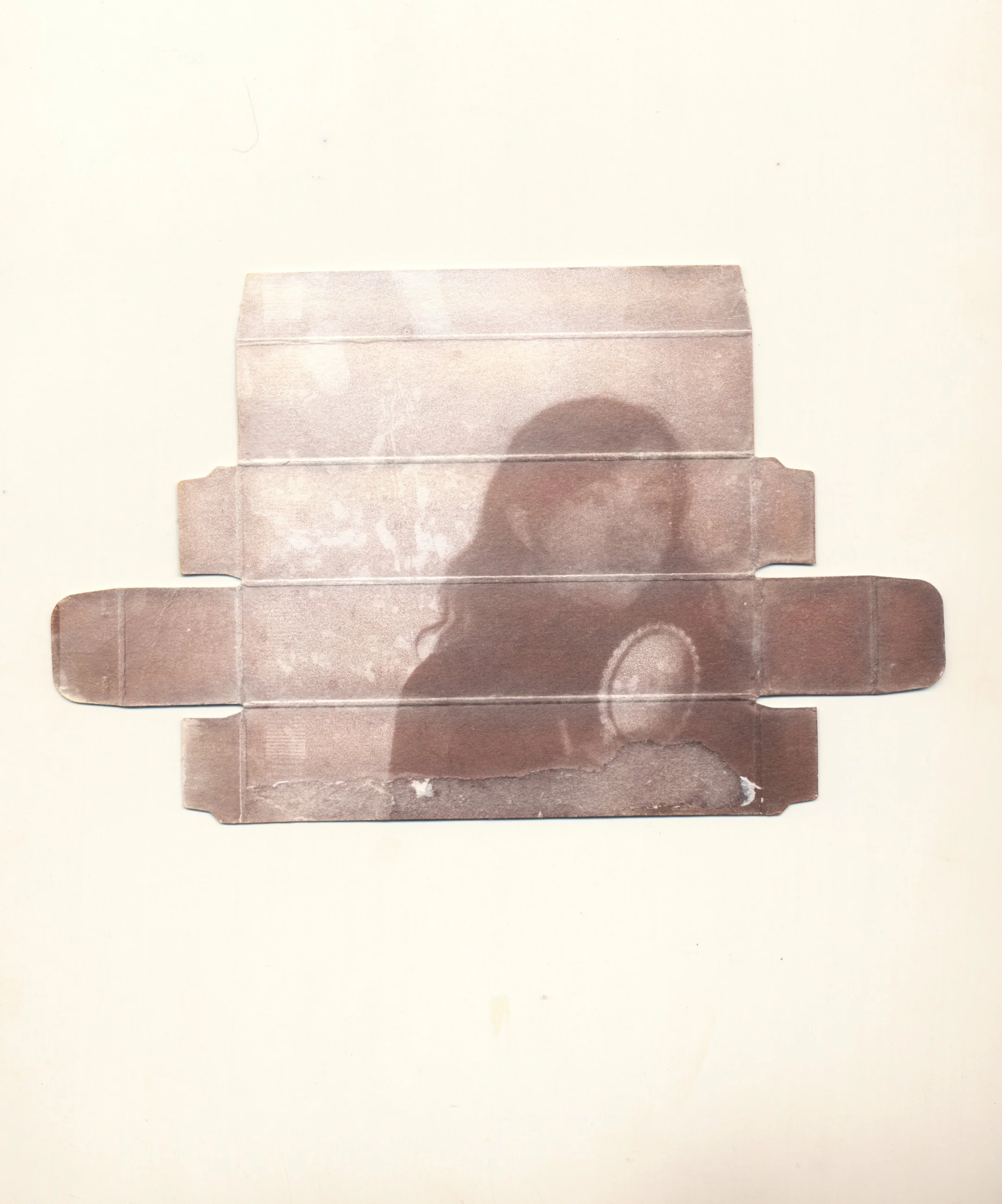 june vandyke brownprint 2024 5.jpg