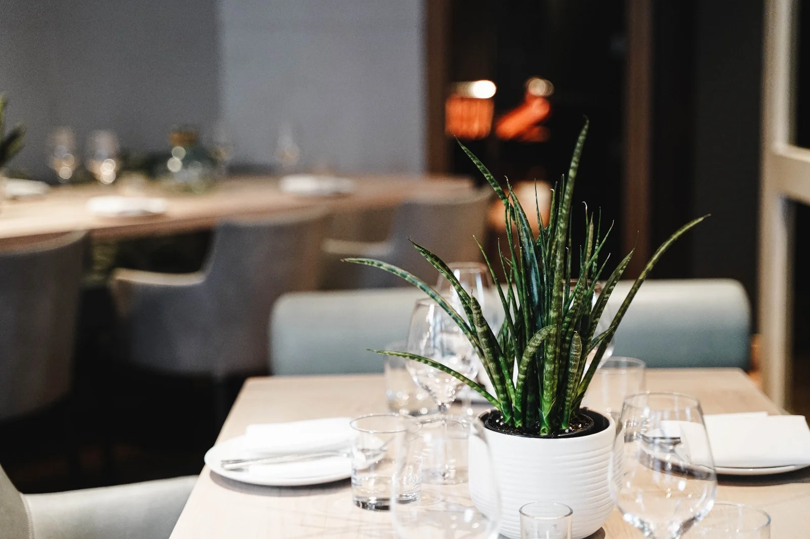 WhatsApp Image 2019-06-06 at 16.51.05(2).jpeg