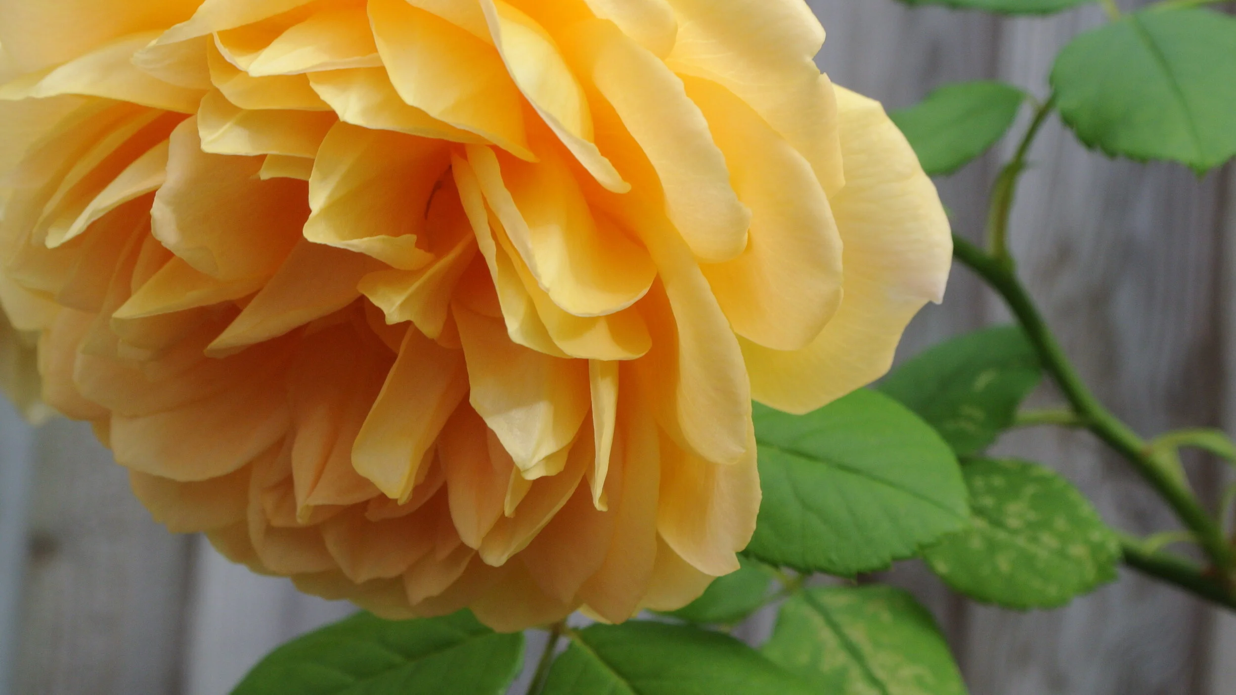 birthdaytrip2012 054.JPG