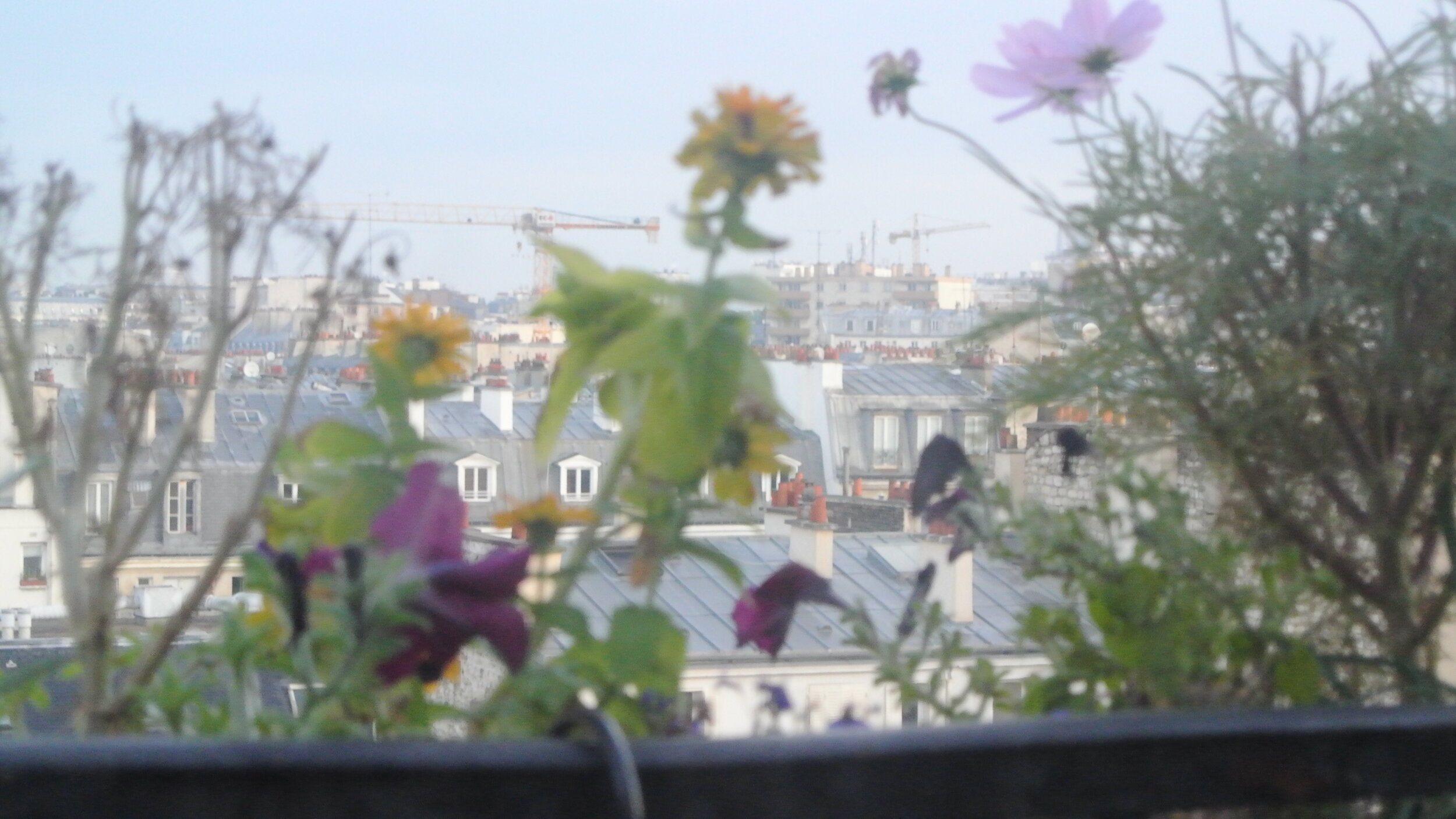 birthdaytrip2012 117.JPG