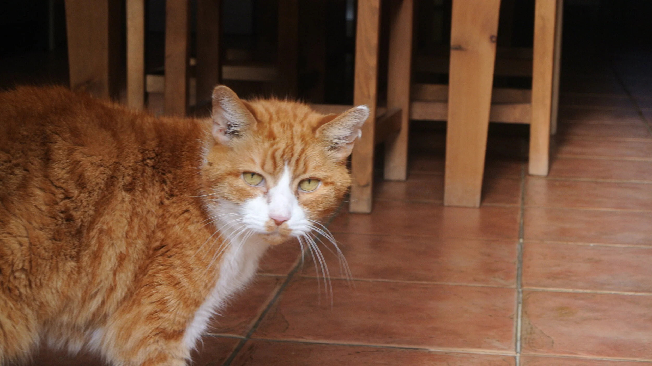 birthdaytrip2012 053.JPG