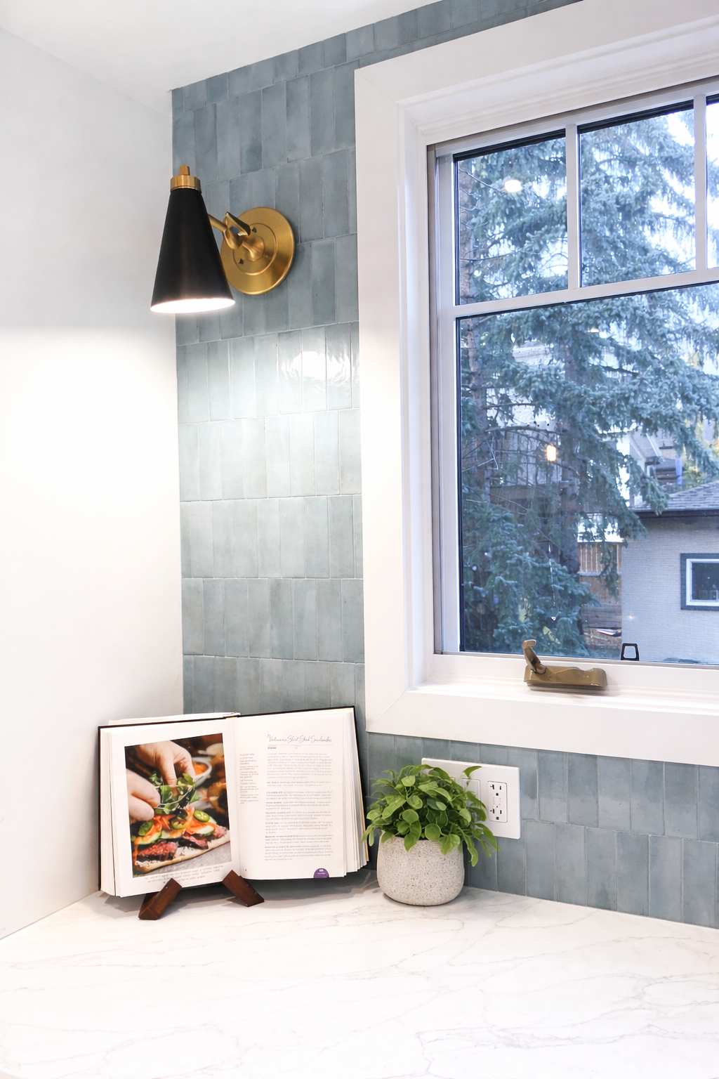 modern kitchen with cookbook and green plant