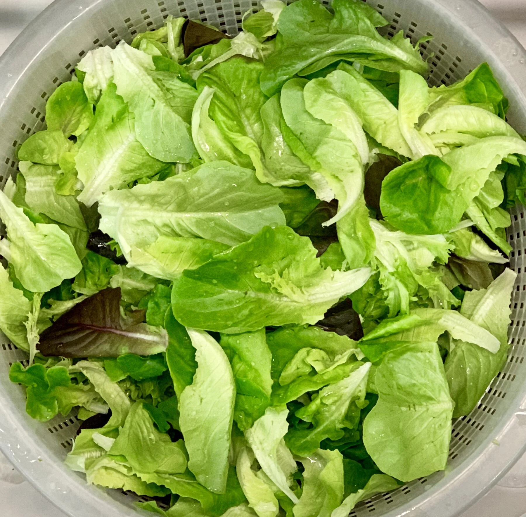 INSALATA LAVATA.jpeg