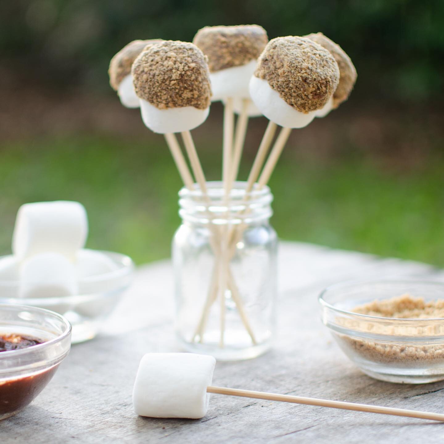 DIY S&rsquo;more Pops for a Picnic

S&rsquo;mores for Lag B&rsquo;Omer are definitely having a moment on Instagram this week! 🙌 We love making them as a &ldquo;s&rsquo;more pop&rdquo; for a Lag B&rsquo;Omer picnic! 😋 They&rsquo;re simple enough for