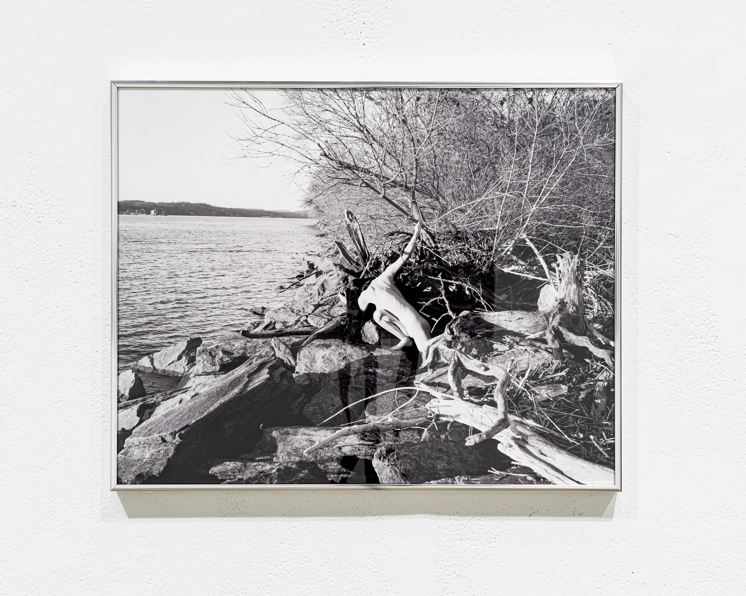 _DSC0686.jpeg